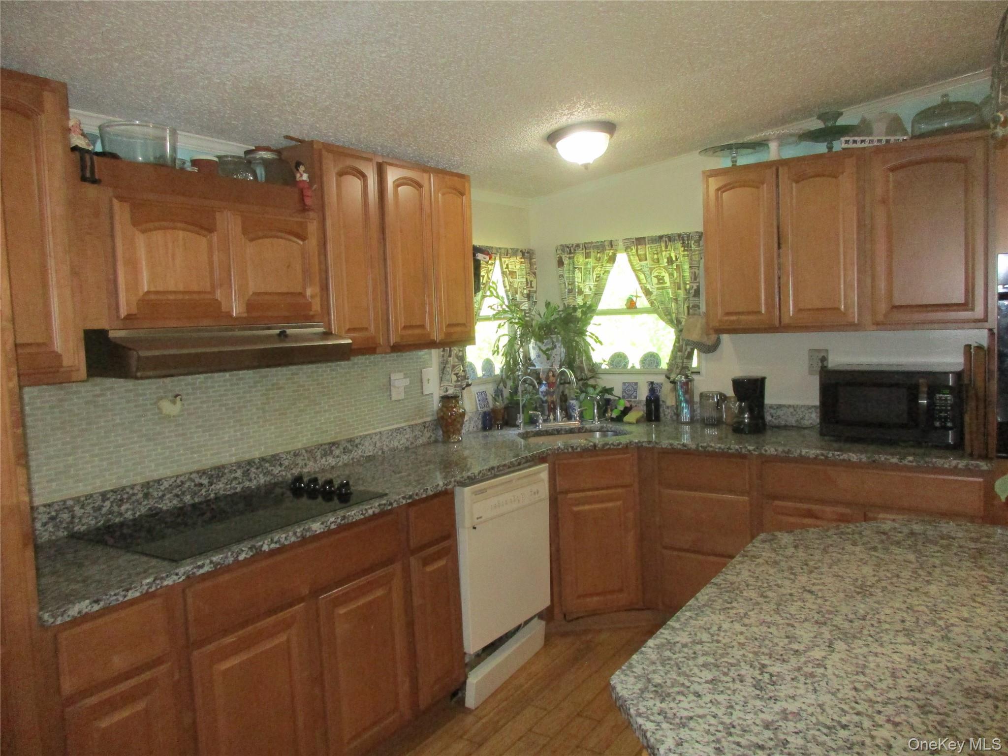 Single Family Sleepy Hollow Road Orange County, NY 12771, MLS-1029290-9