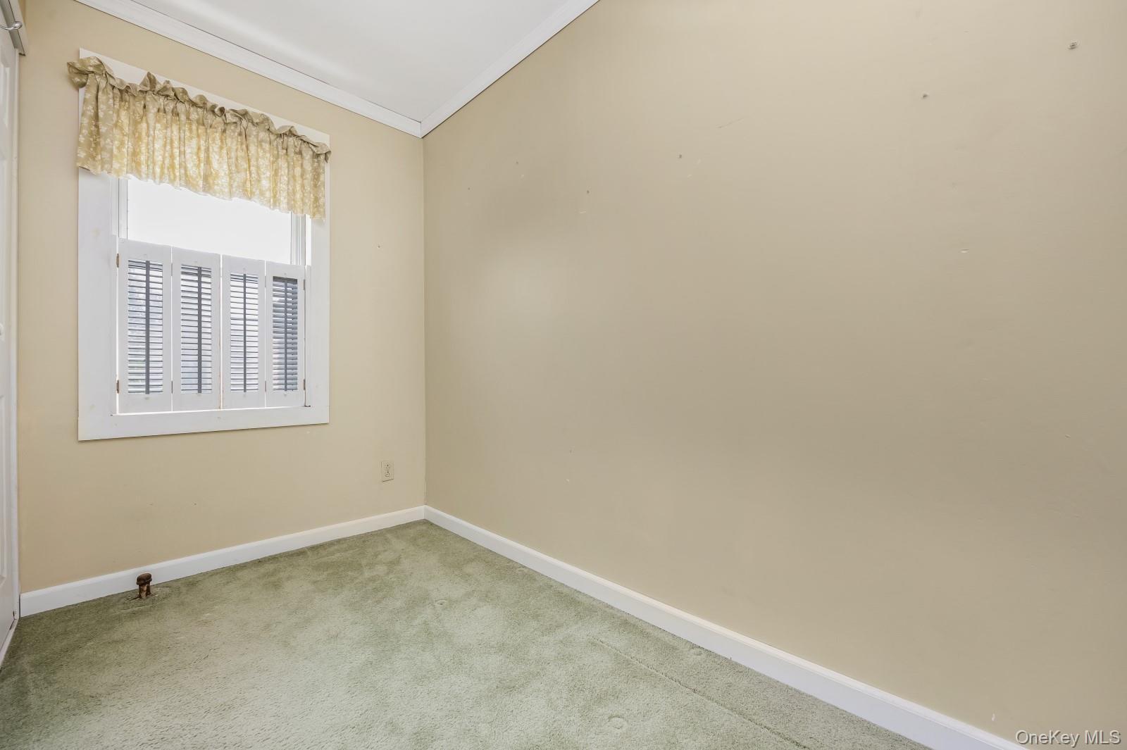Single Family 78th Street Queens, NY 11379, MLS-1029303-17