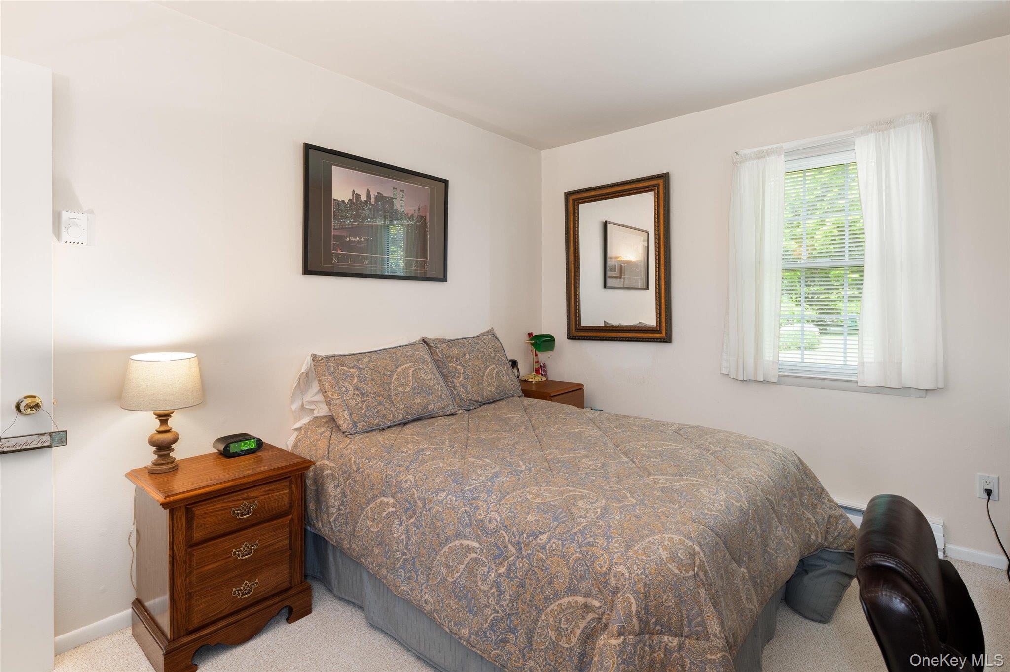 Single Family Lakeview Drive Westchester County, NY 10598, MLS-1029333-22