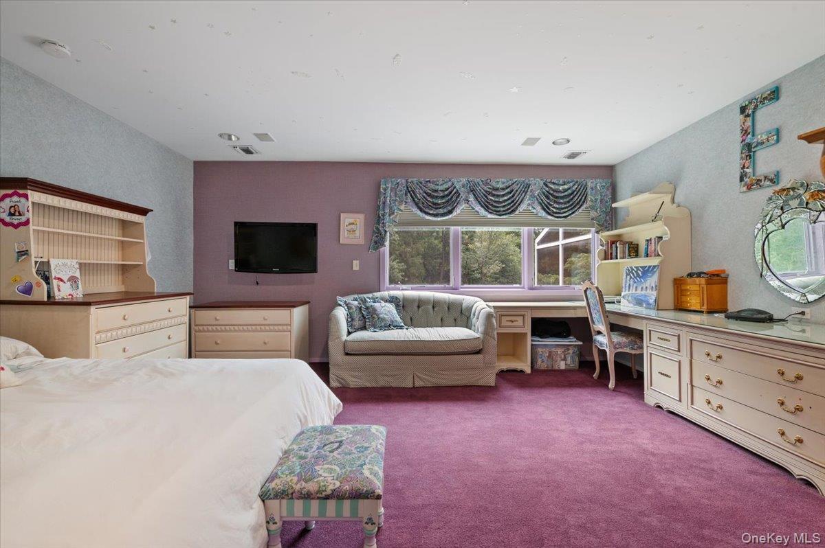 Single Family Emerson Road Nassau County, NY 11545, MLS-1029380-26