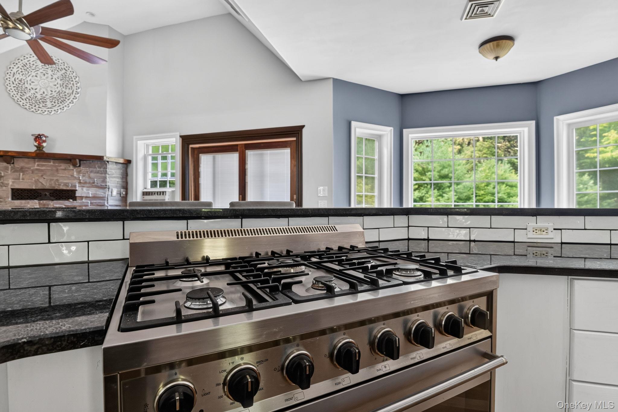 Single Family Upper Pine Kill Road Sullivan County, NY 12785, MLS-1029399-9