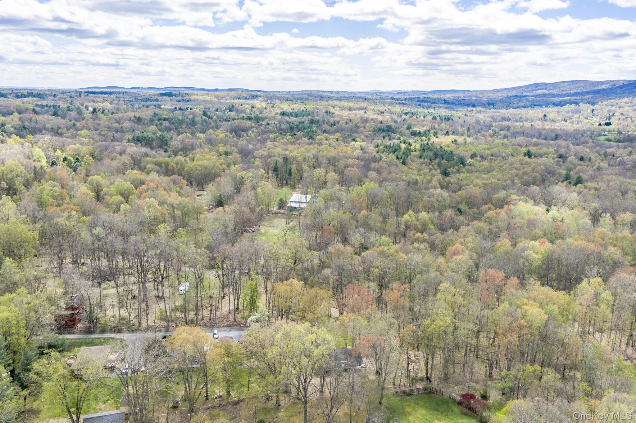 Single Family Farmingdale Lane Orange County, NY 12721, MLS-1029410-40