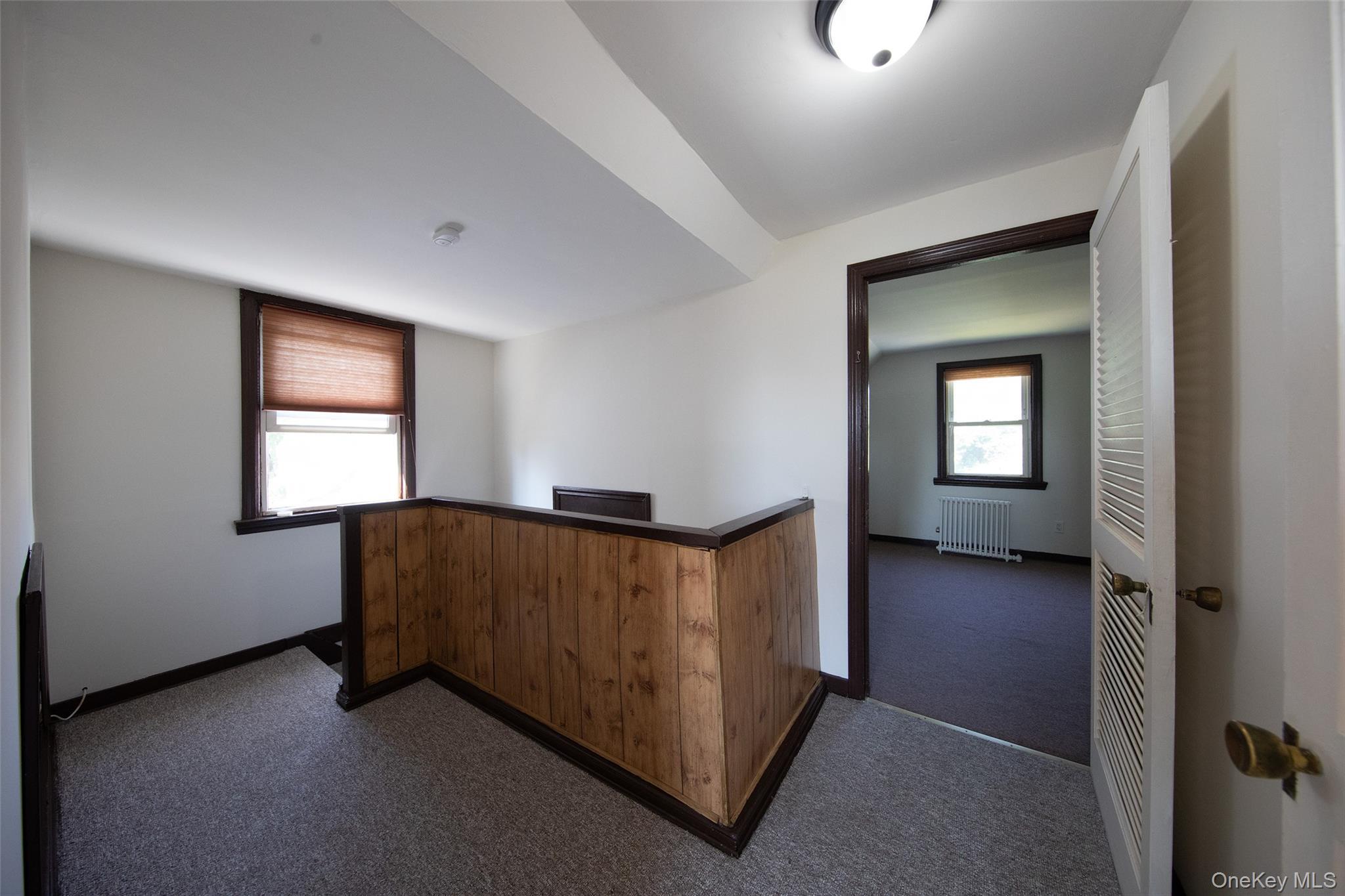 Single Family Harrison Avenue Nassau County, NY 11010, MLS-1029424-15