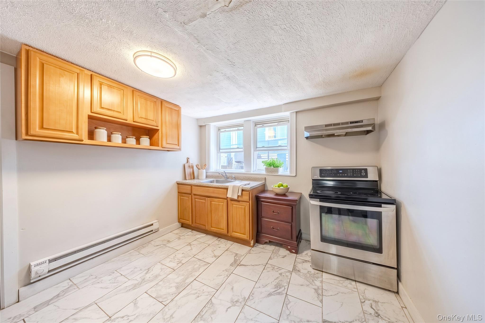 Single Family Palmer Avenue Bronx, NY 10466, MLS-1029469-10