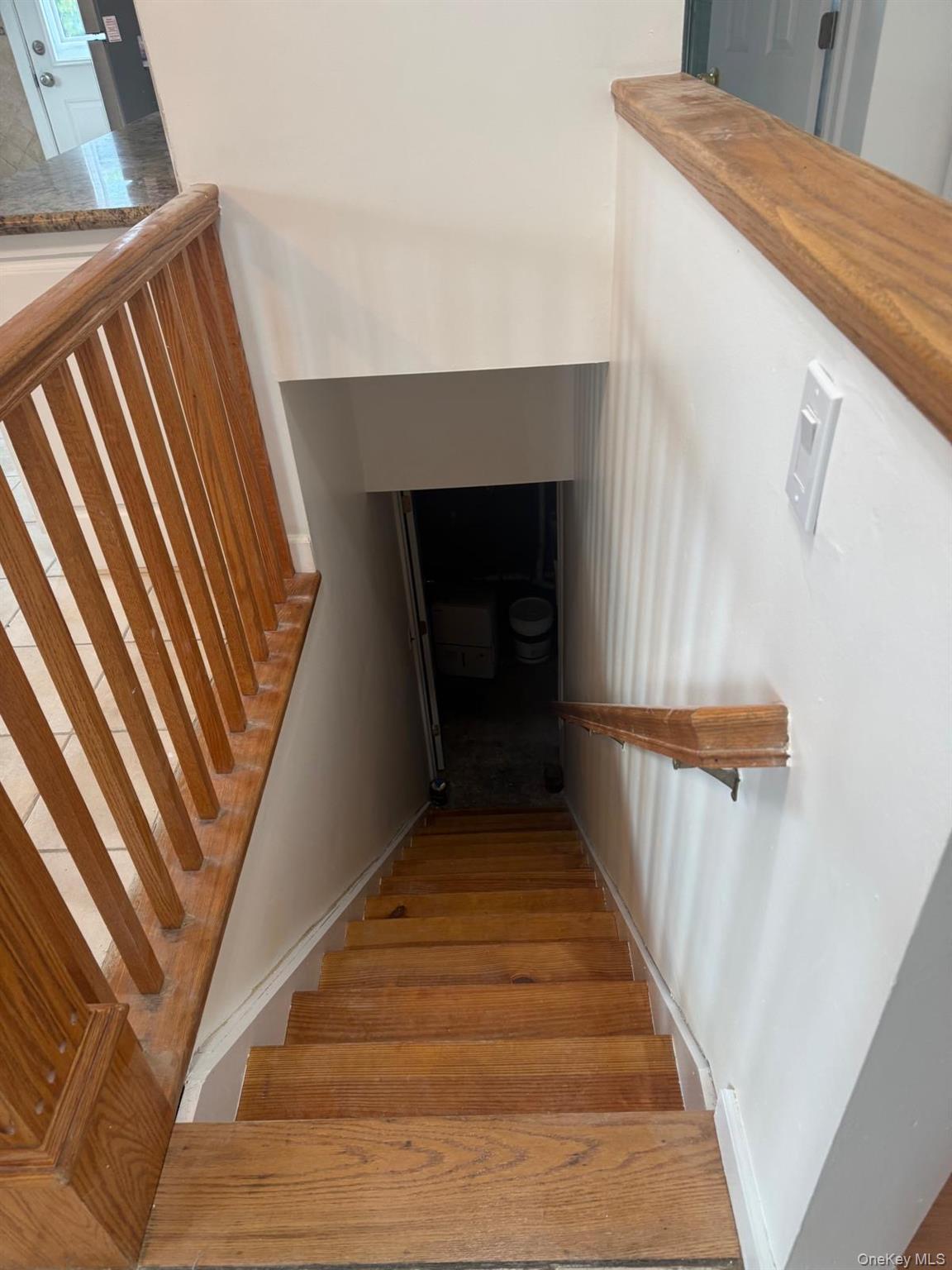 Single Family Larch Street Nassau County, NY 11801, MLS-1029511-11