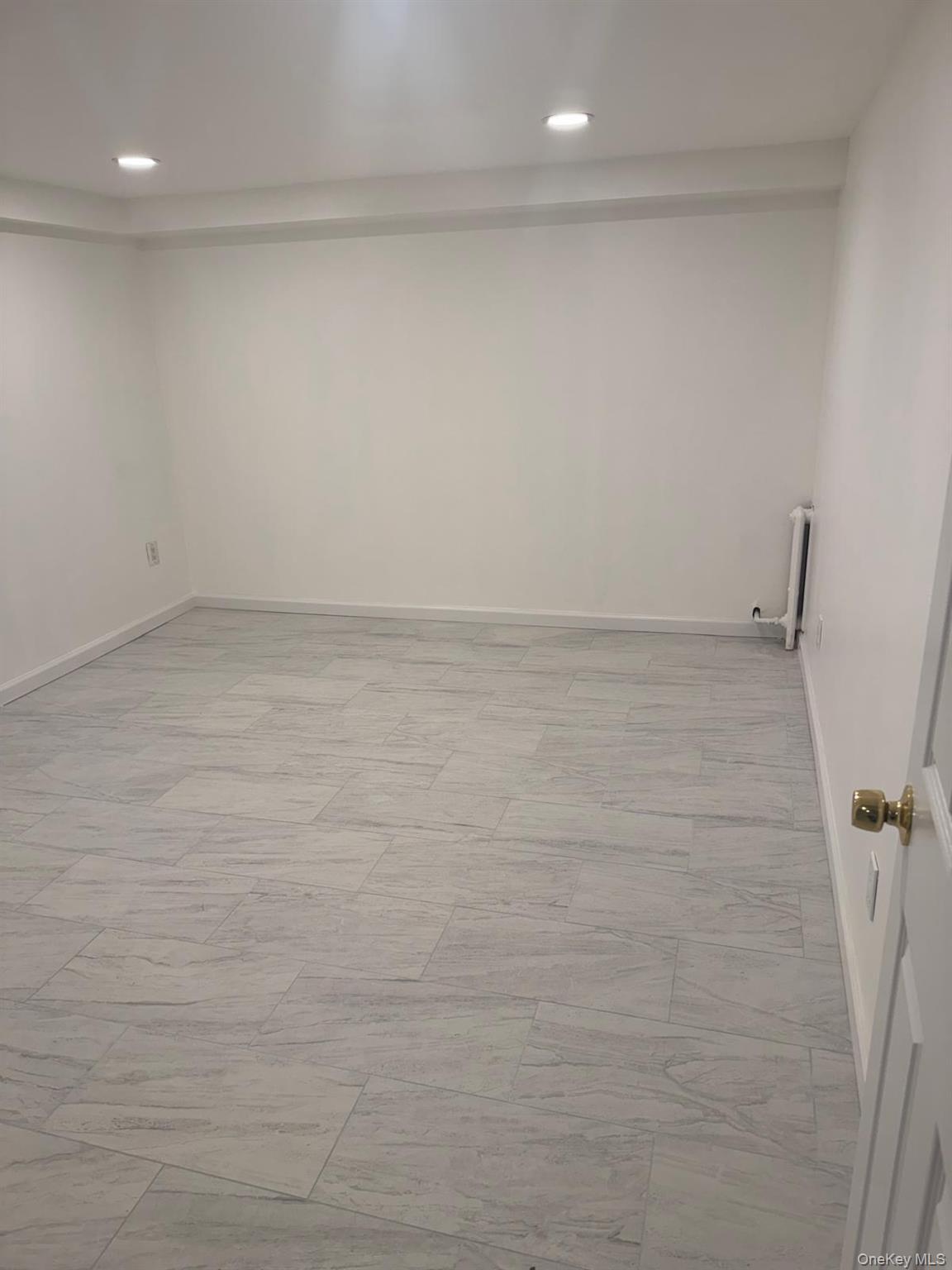 Single Family Larch Street Nassau County, NY 11801, MLS-1029511-12