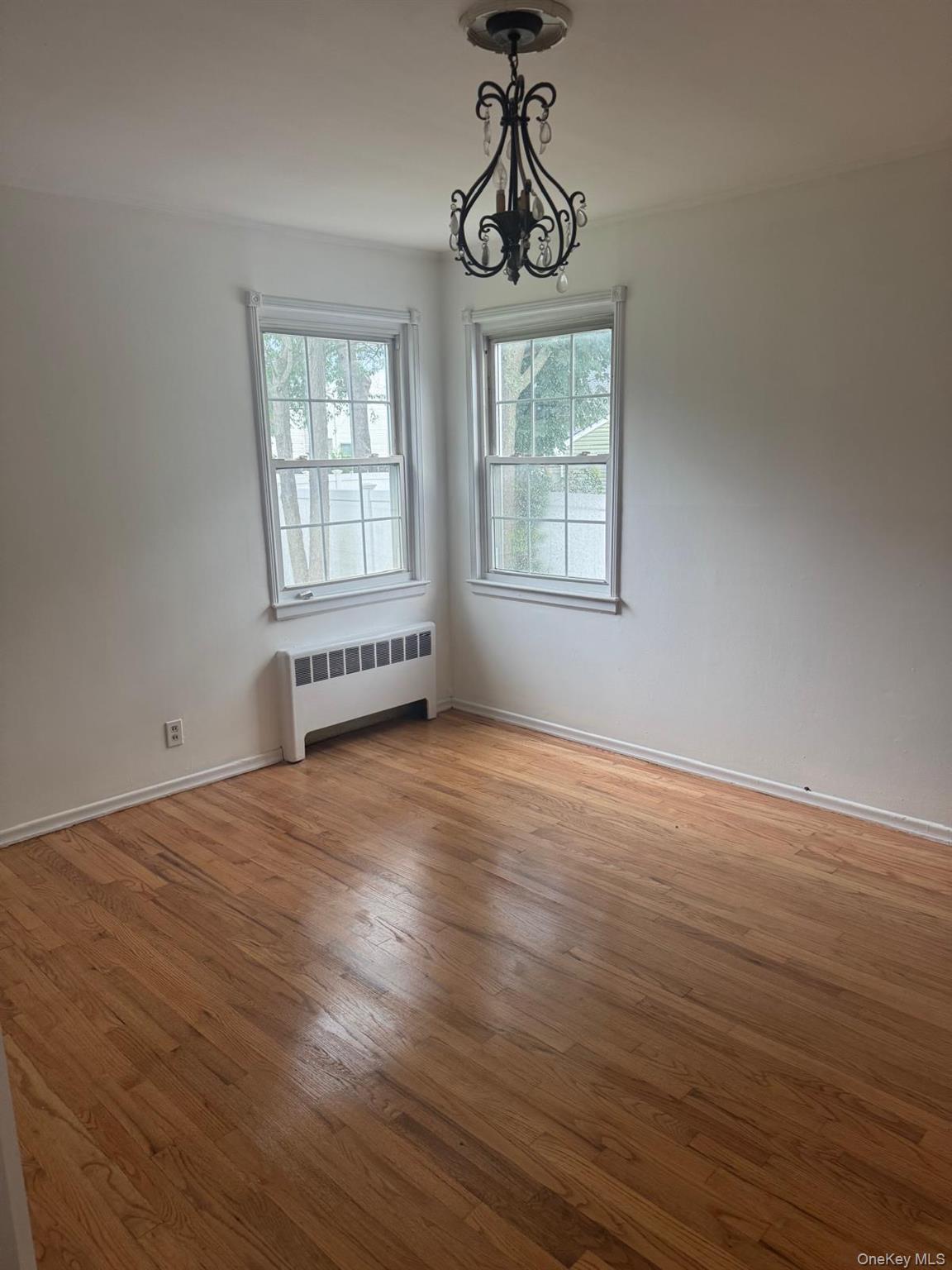 Single Family Larch Street Nassau County, NY 11801, MLS-1029511-3