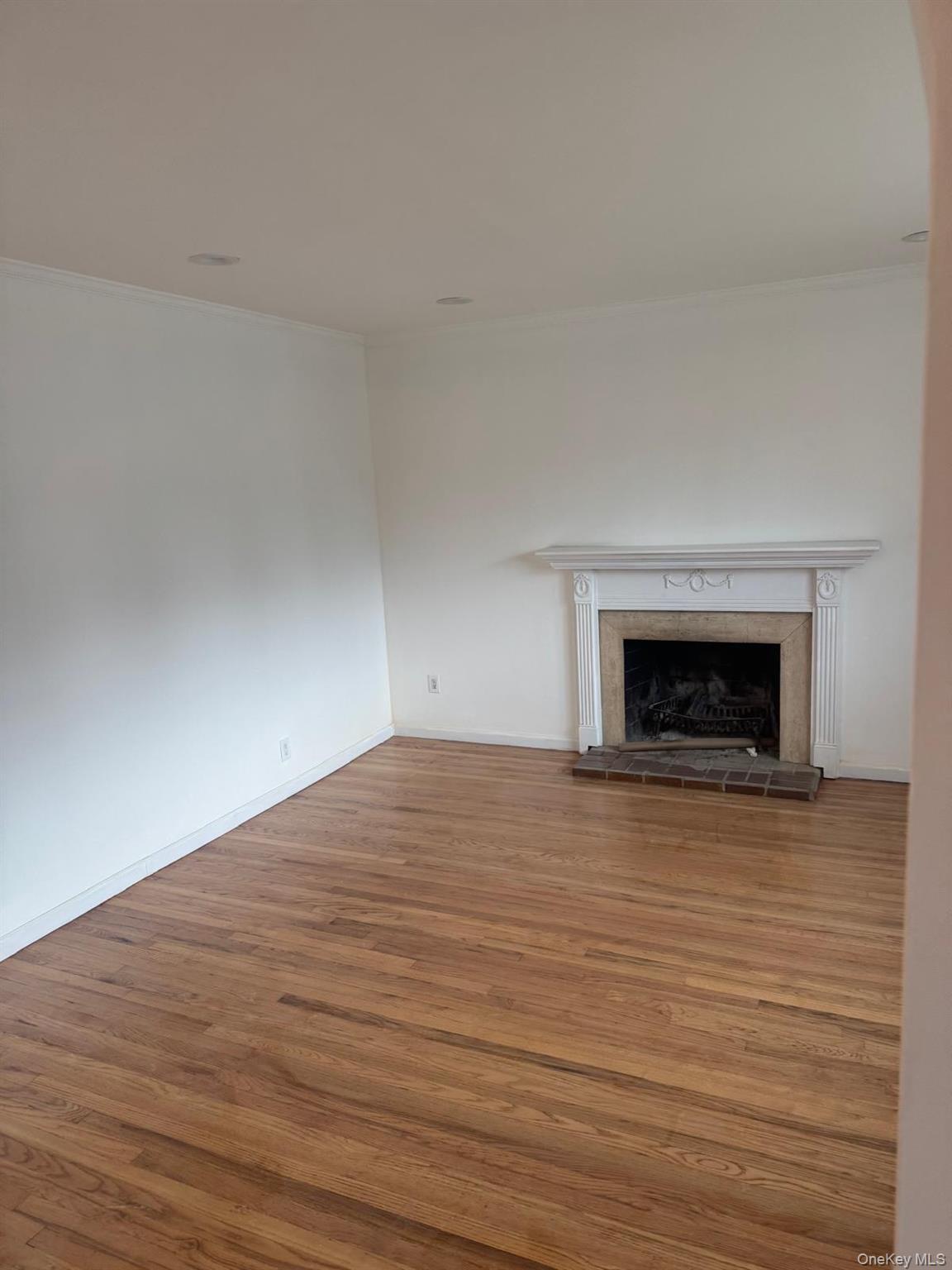 Single Family Larch Street Nassau County, NY 11801, MLS-1029511-4