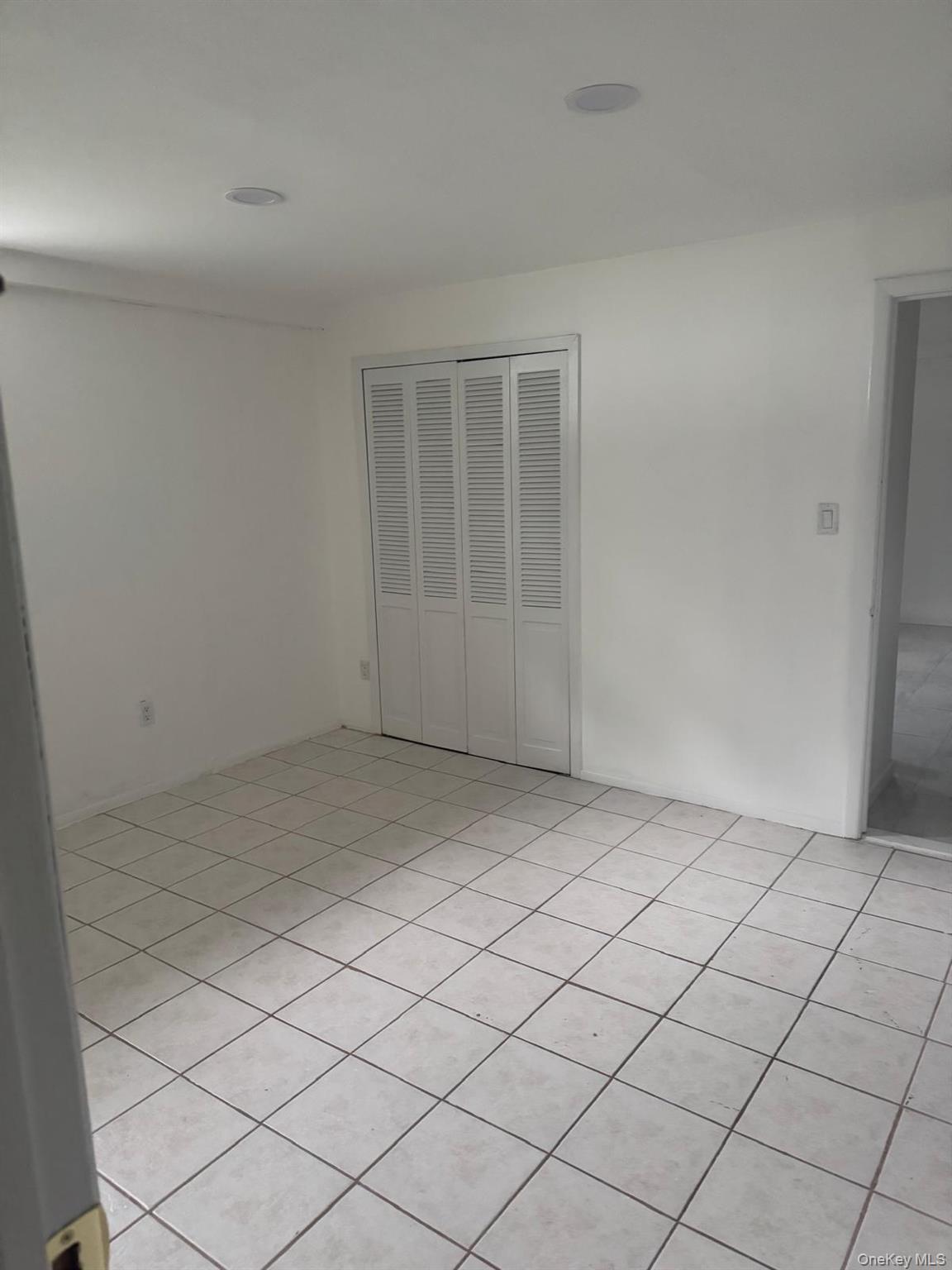 Single Family Larch Street Nassau County, NY 11801, MLS-1029511-5