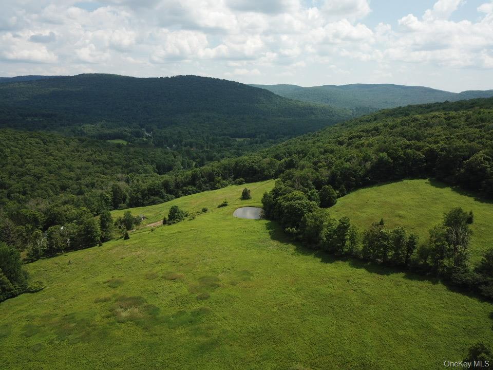 Single Family Mary Smith Hill Road  Sullivan County, NY 12758, MLS-1029585-10