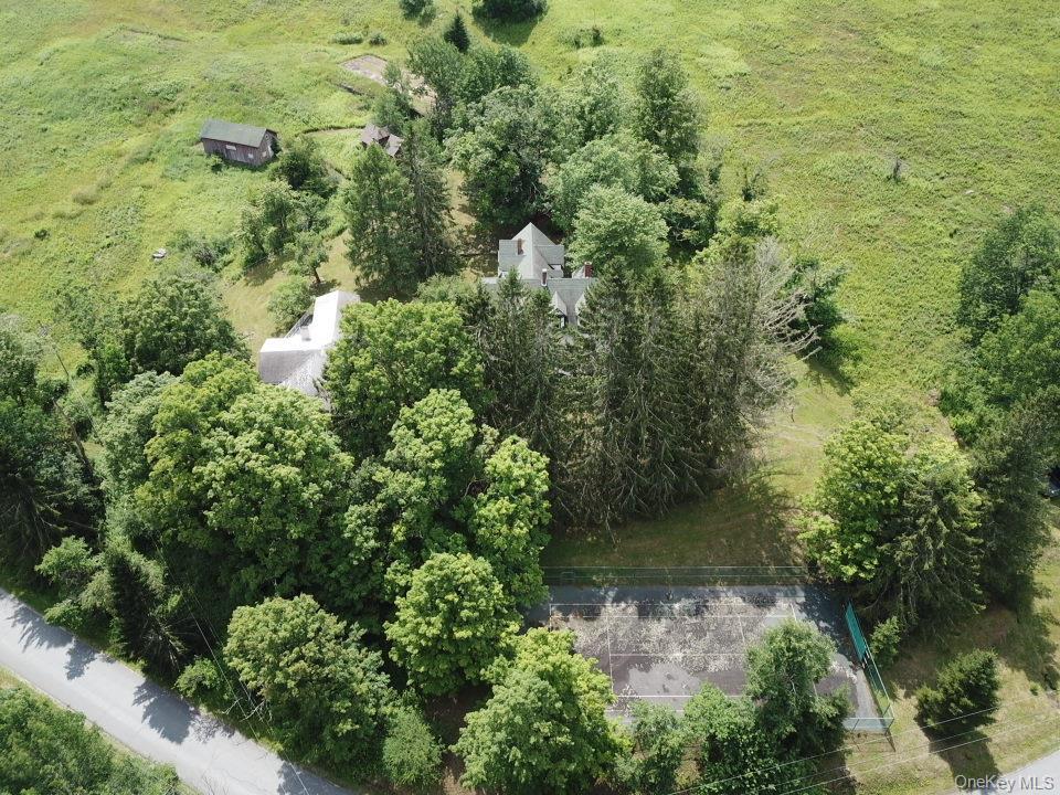 Single Family Mary Smith Hill Road  Sullivan County, NY 12758, MLS-1029585-12
