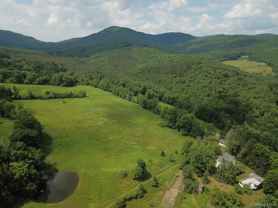 Single Family Mary Smith Hill Road  Sullivan County, NY 12758, MLS-1029585-5
