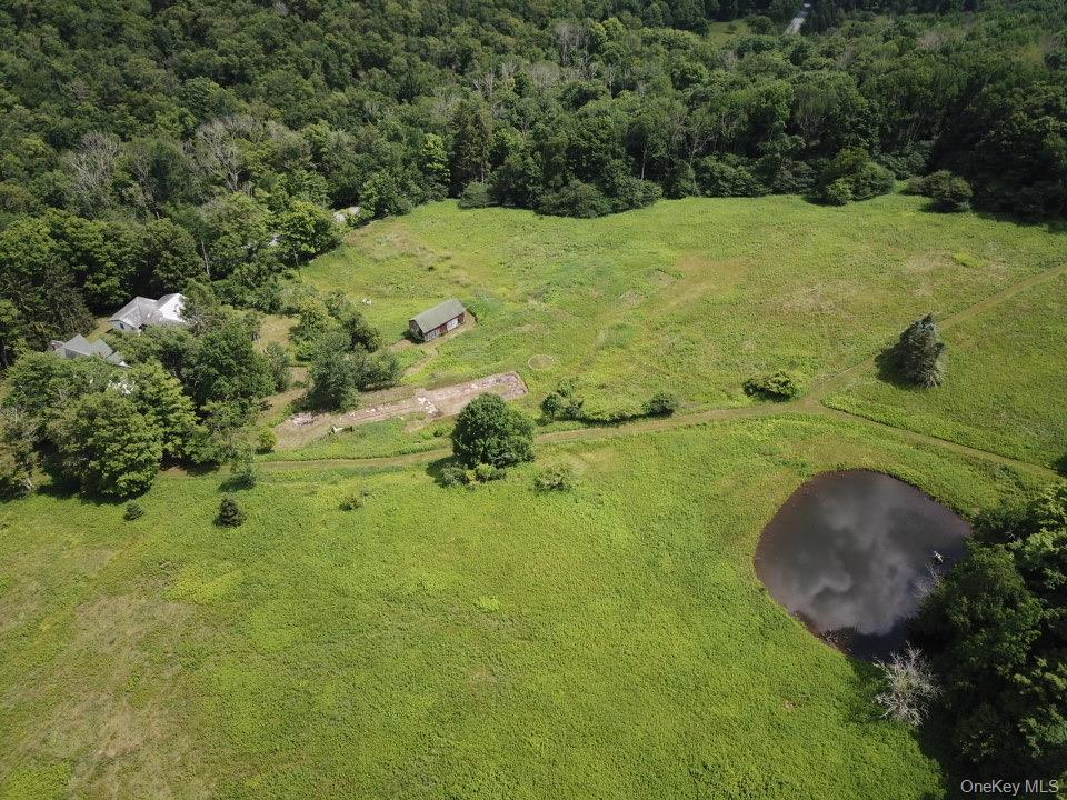 Single Family Mary Smith Hill Road  Sullivan County, NY 12758, MLS-1029585-6