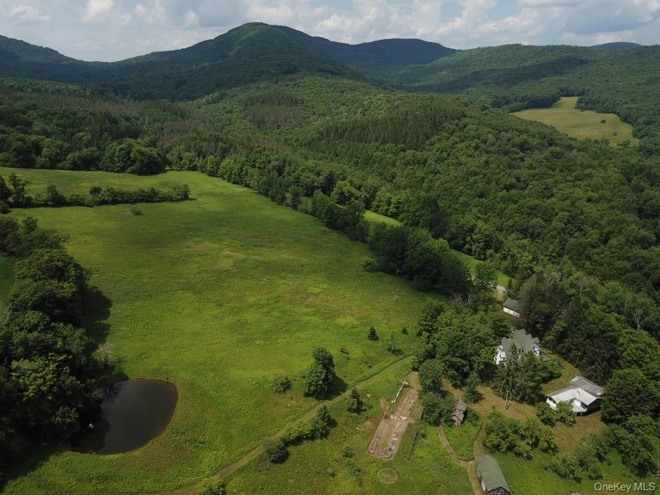Single Family Mary Smith Hill Road  Sullivan County, NY 12758, MLS-1029585-8
