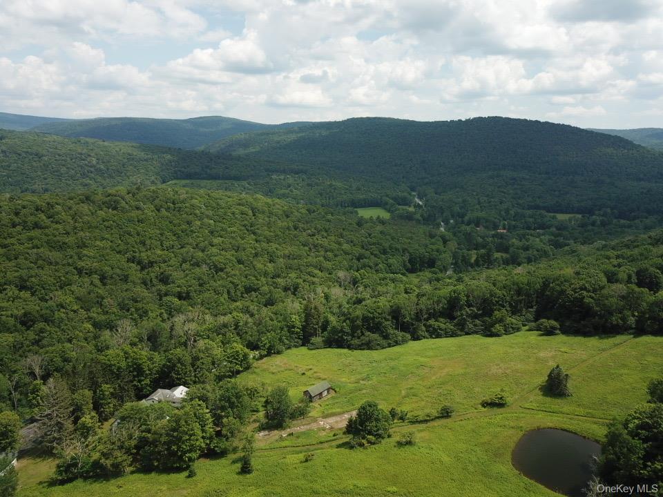 Single Family Mary Smith Hill Road  Sullivan County, NY 12758, MLS-1029585-9