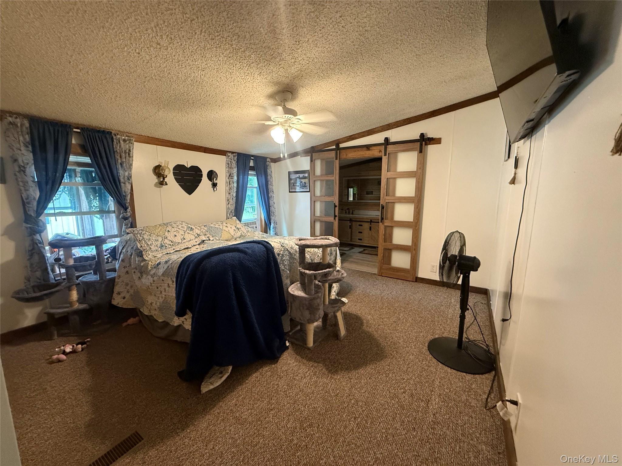 Single Family Church Street Ulster County, NY 12589, MLS-1029619-28