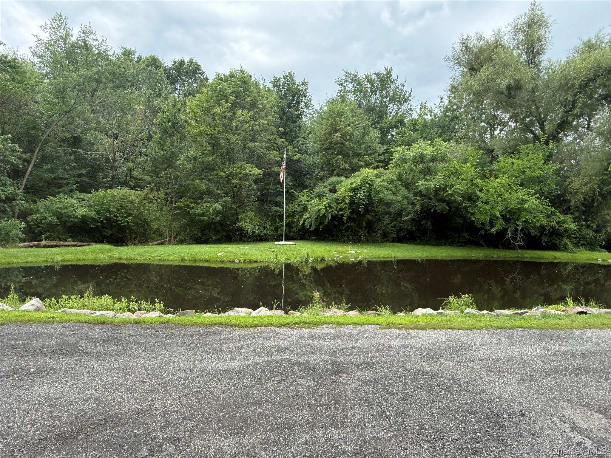 Single Family Church Street Ulster County, NY 12589, MLS-1029619-3