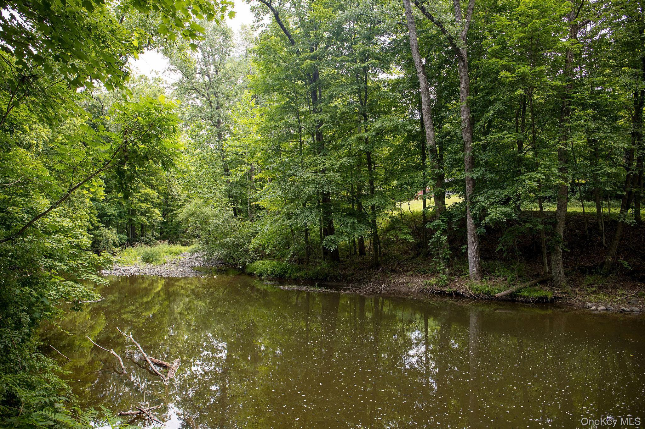 Single Family Water Street Road  Columbia County, NY 12534, MLS-1029660-36