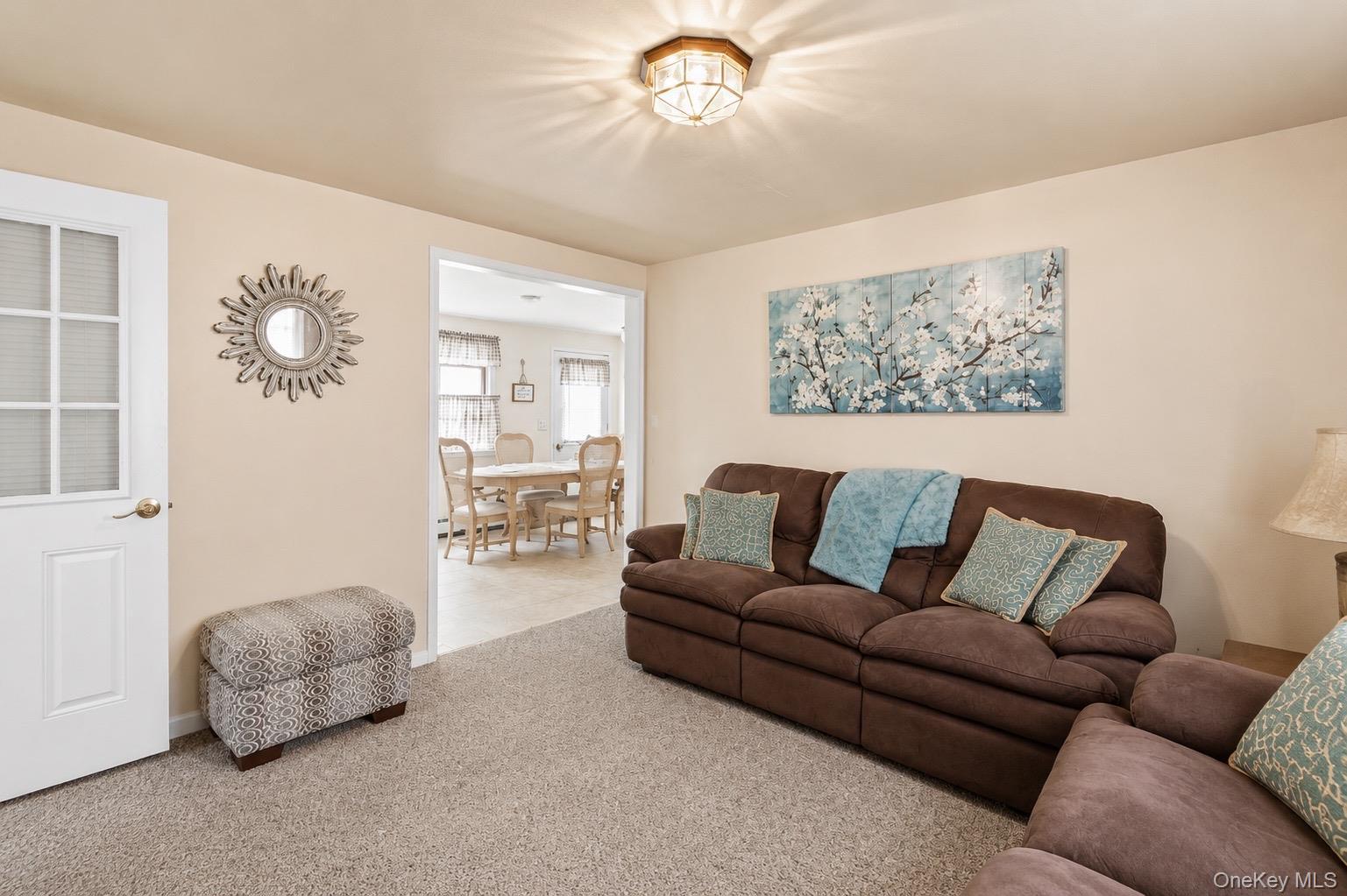 Single Family Driving Park Avenue  Nassau County, NY 11563, MLS-1029674-16