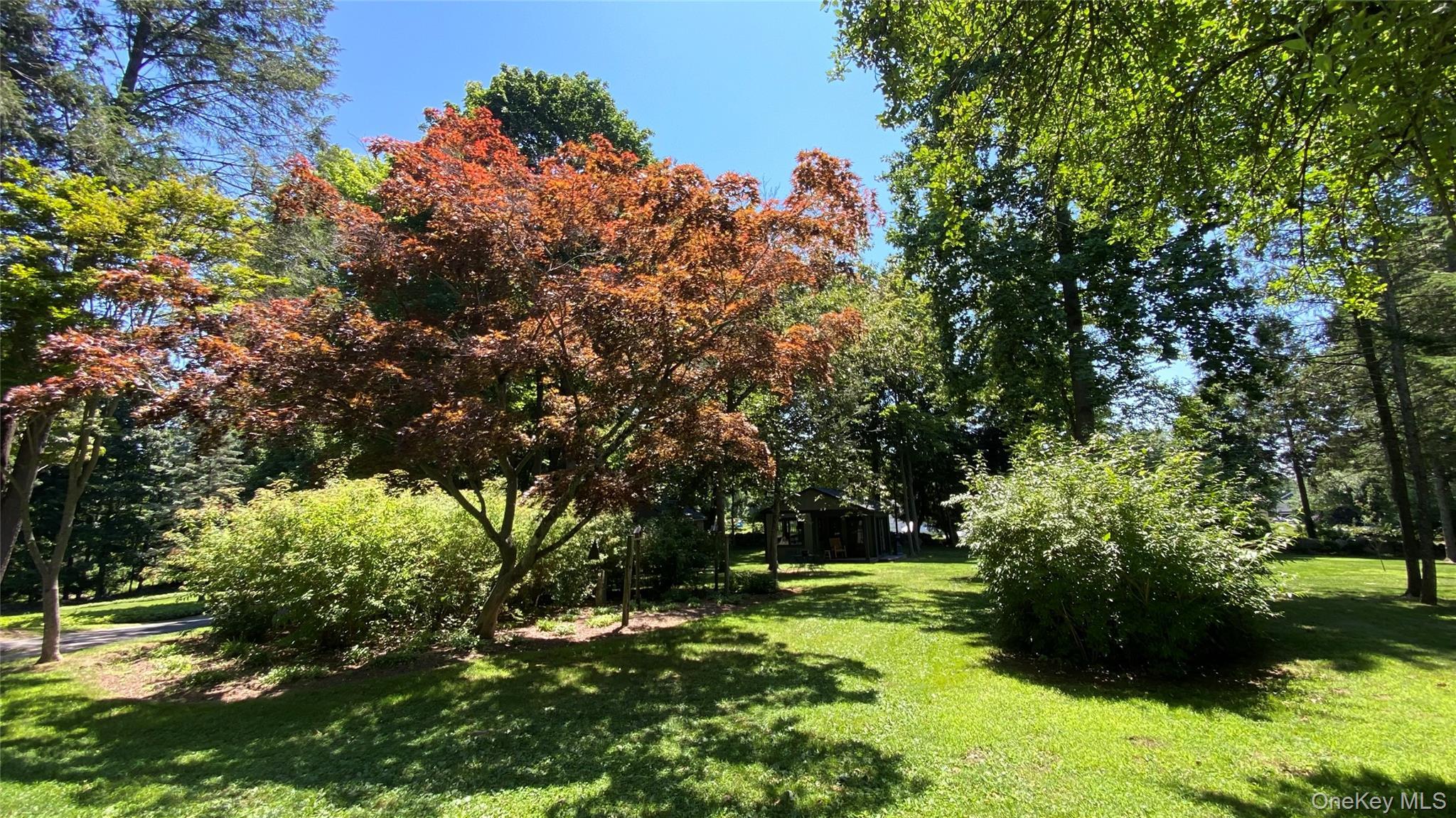 Single Family Renda Street Out Of Area, NY 06812, MLS-1029701-3