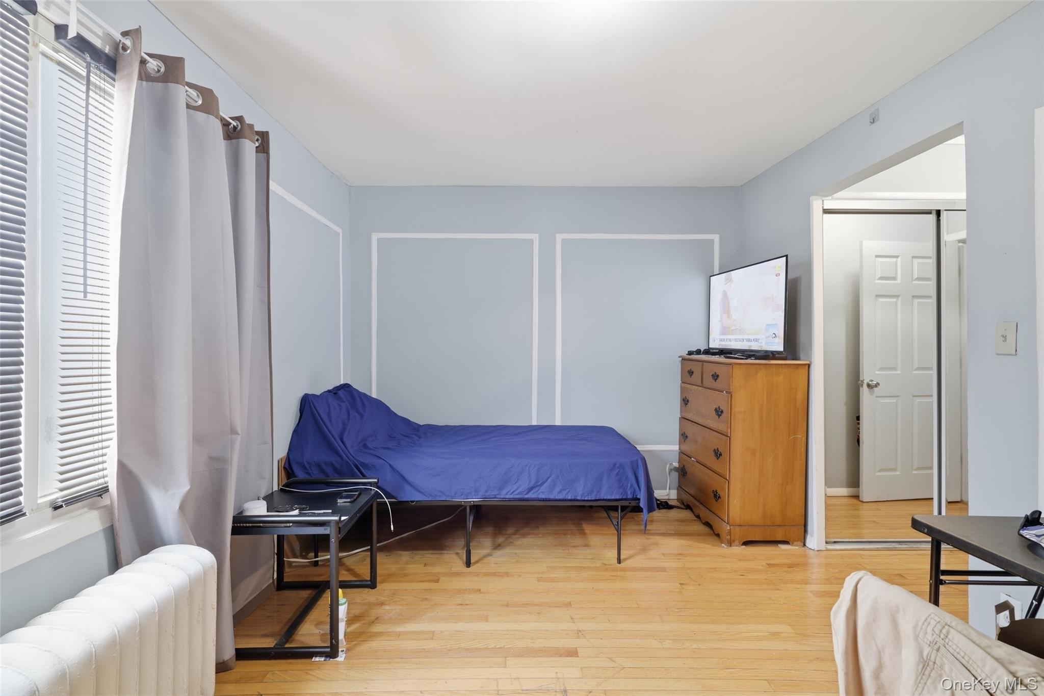Single Family E Pine Street Nassau County, NY 11561, MLS-1029730-13