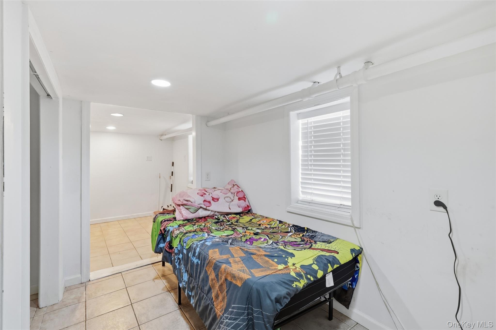 Single Family E Pine Street Nassau County, NY 11561, MLS-1029730-16