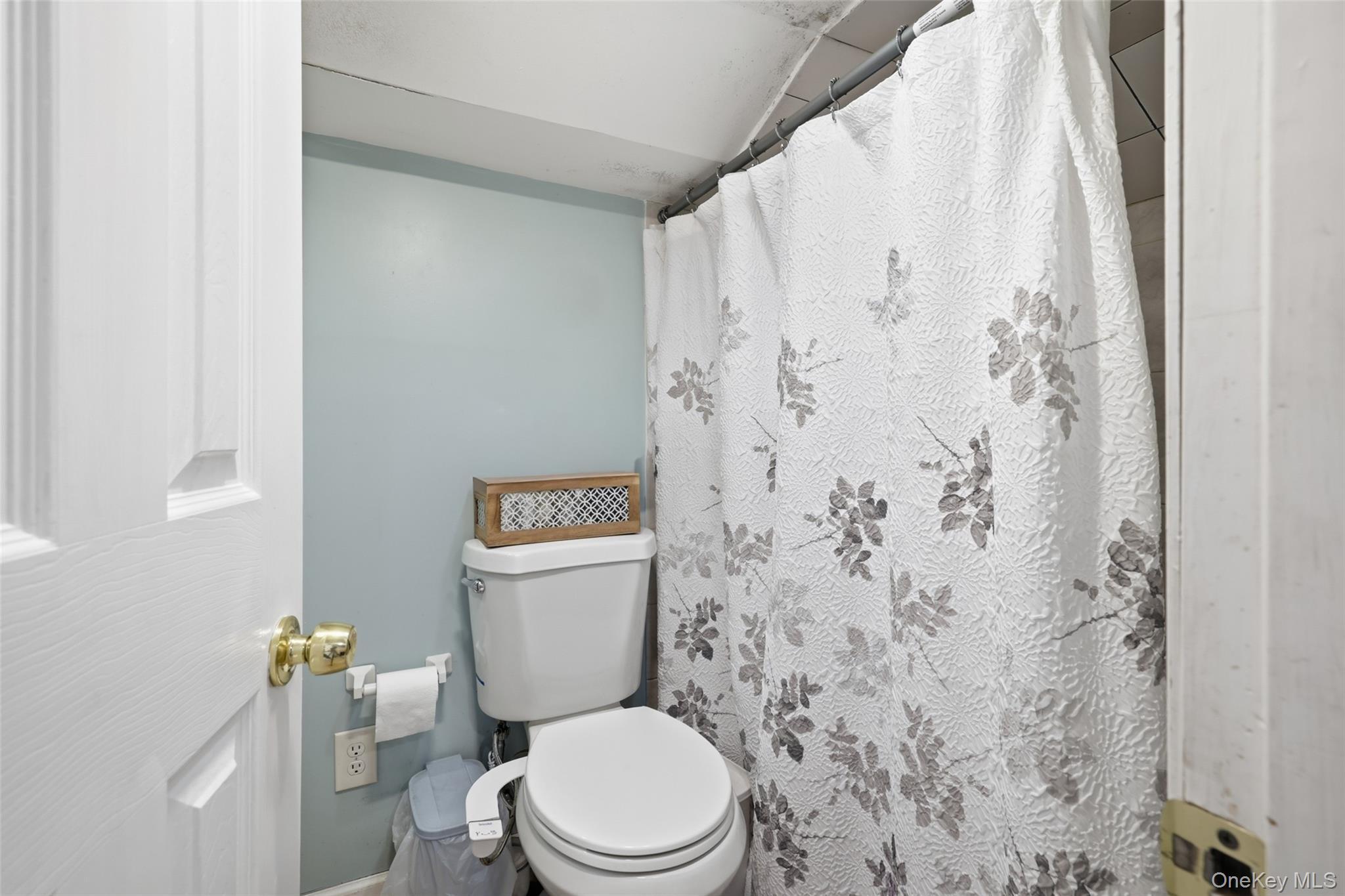 Single Family E Pine Street Nassau County, NY 11561, MLS-1029730-17