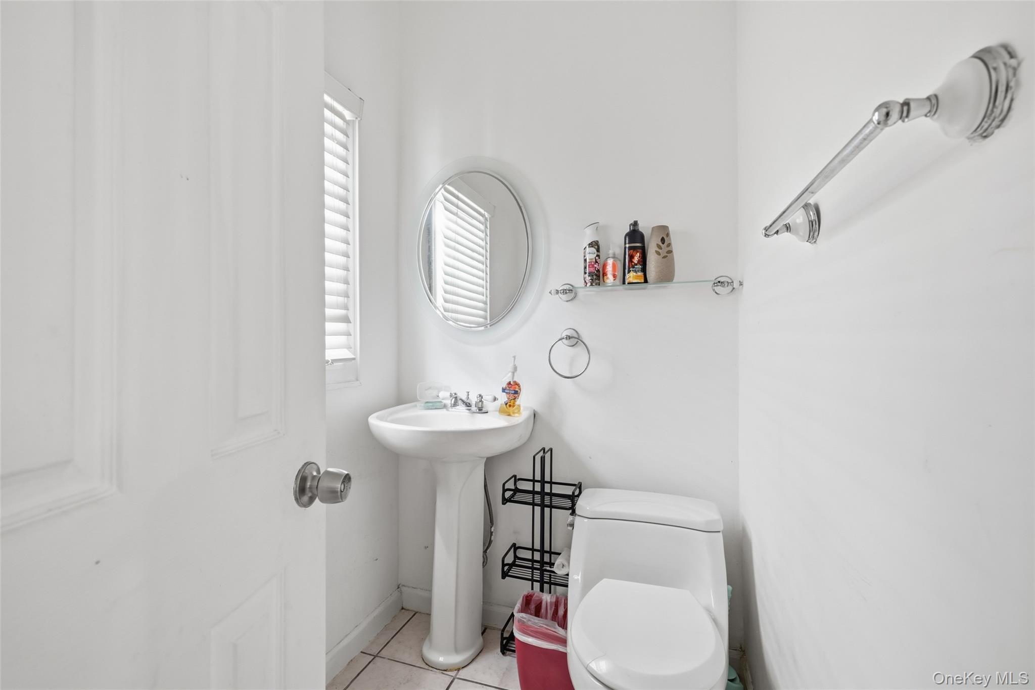 Single Family E Pine Street Nassau County, NY 11561, MLS-1029730-8