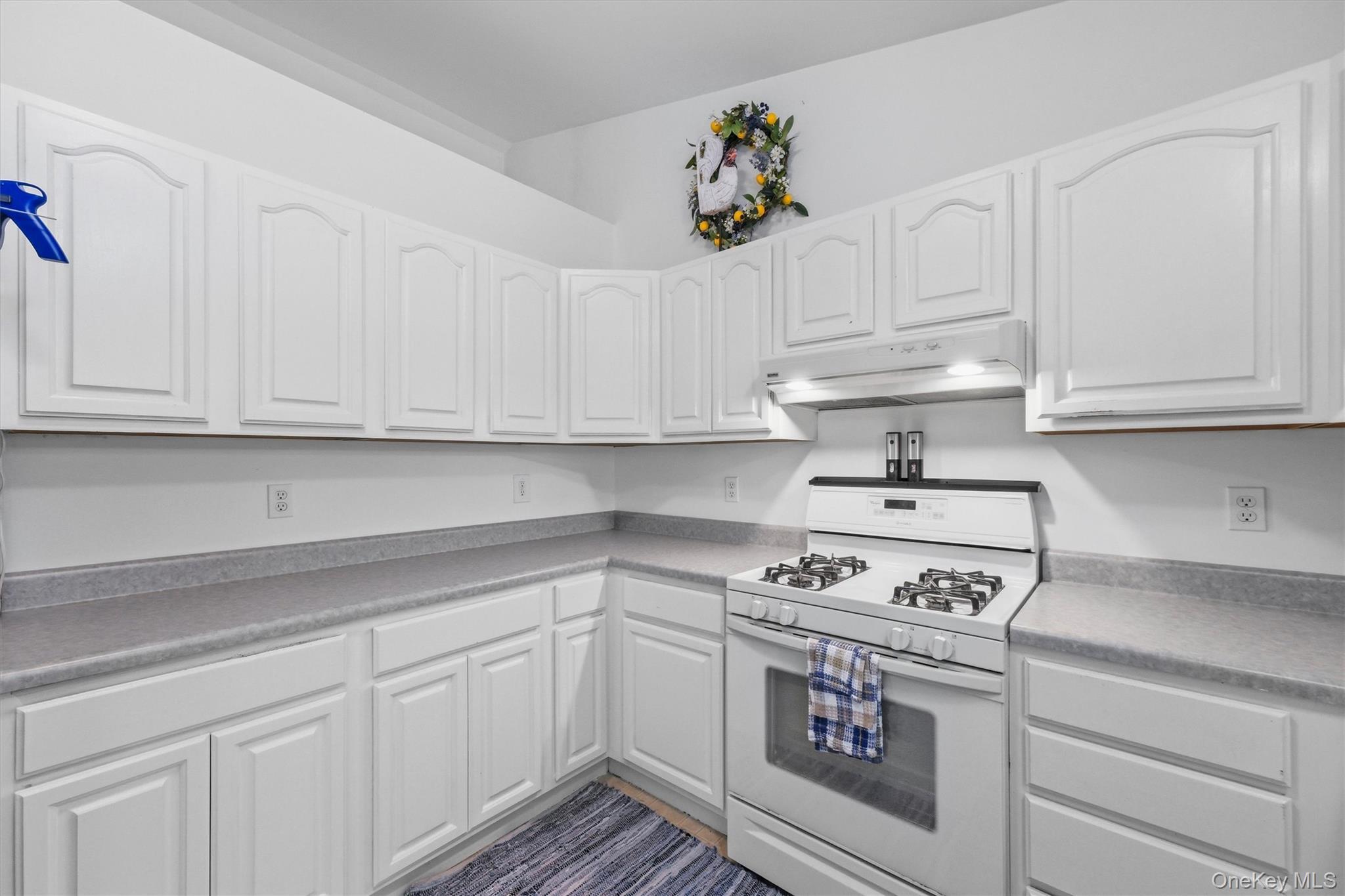 Single Family Rosewood Lane Sullivan County, NY 12790, MLS-1029736-20