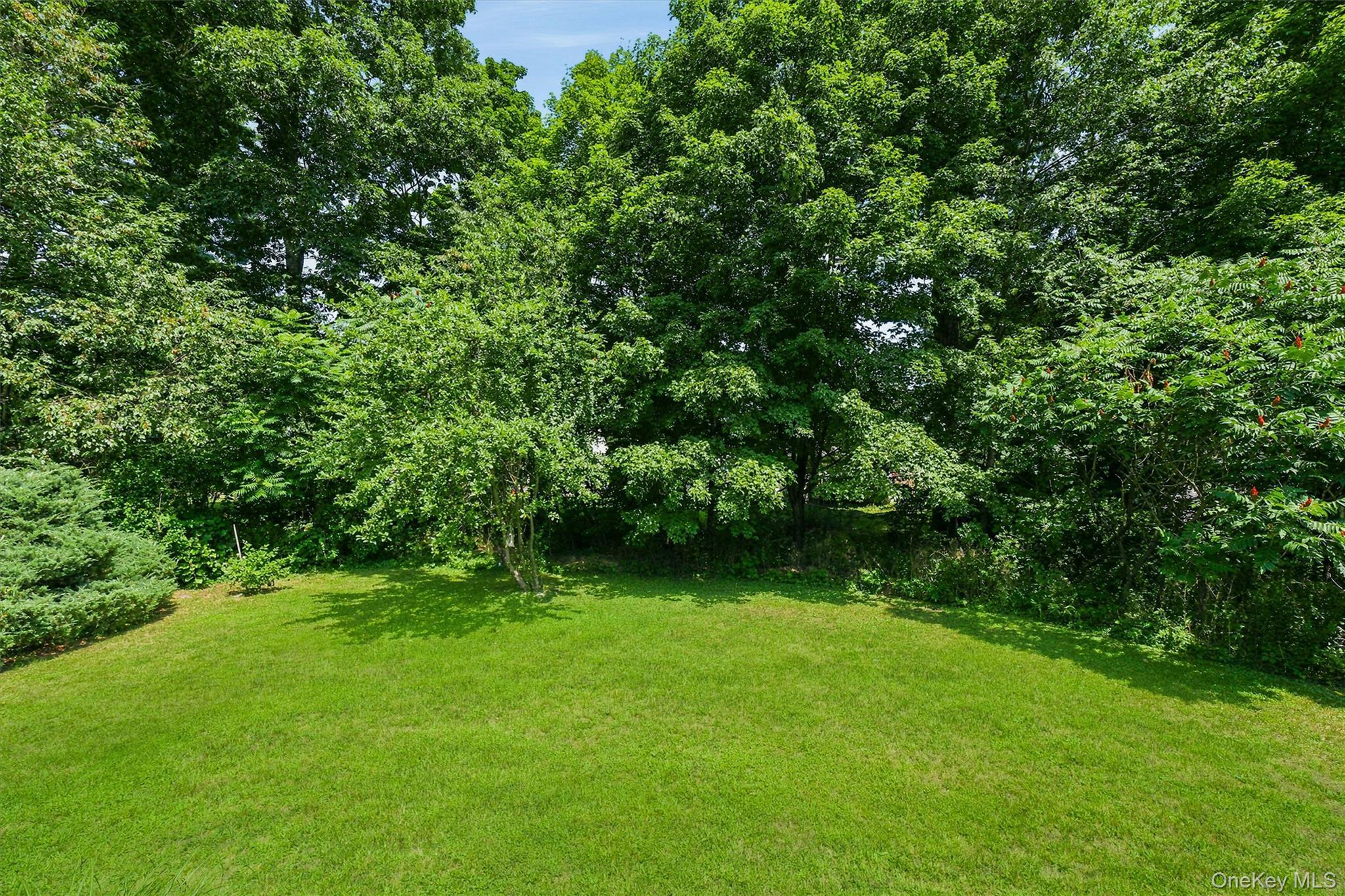 Single Family Rosewood Lane Sullivan County, NY 12790, MLS-1029736-40