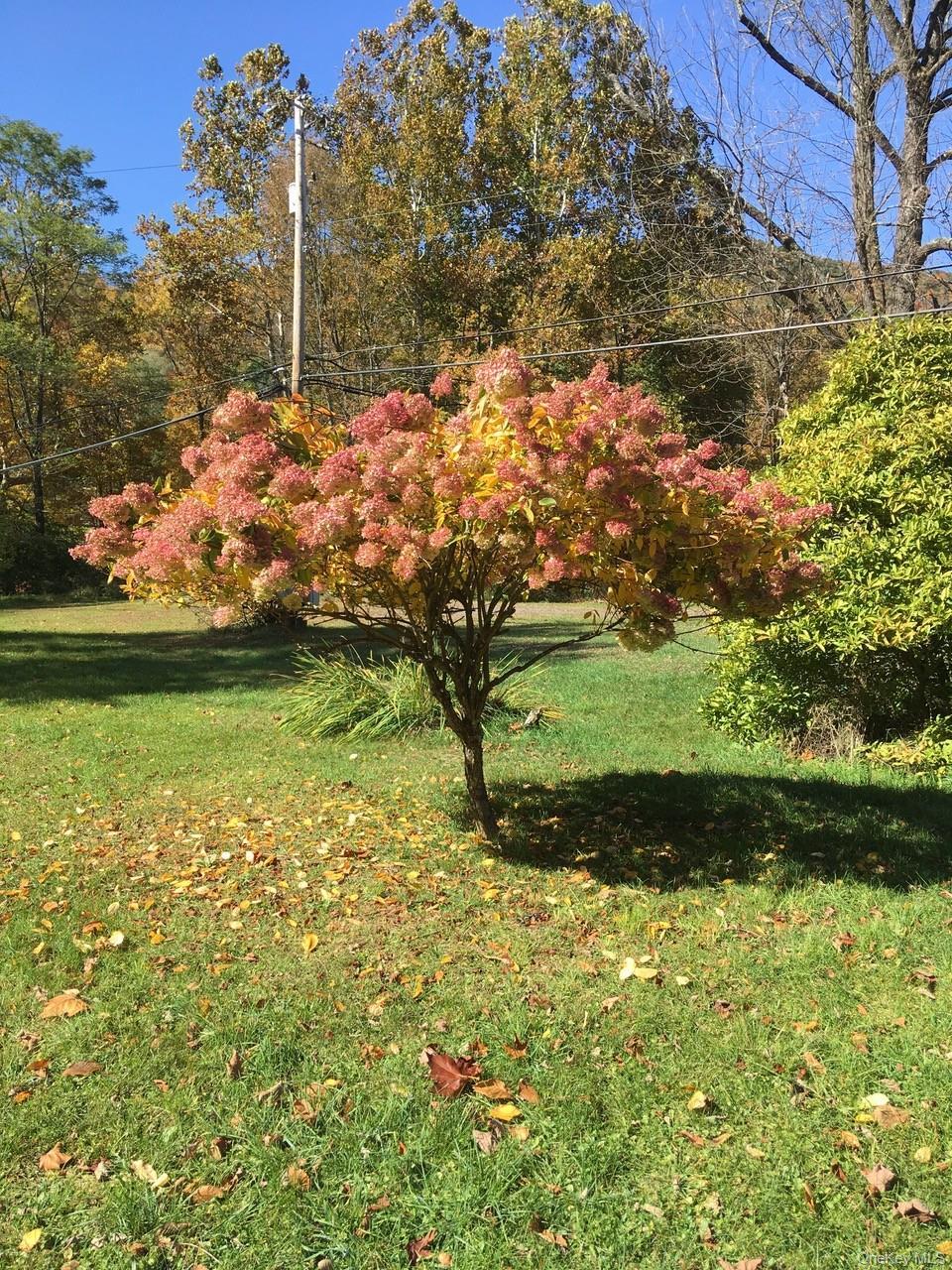 Single Family Sundown Road  Ulster County, NY 12740, MLS-1029766-37