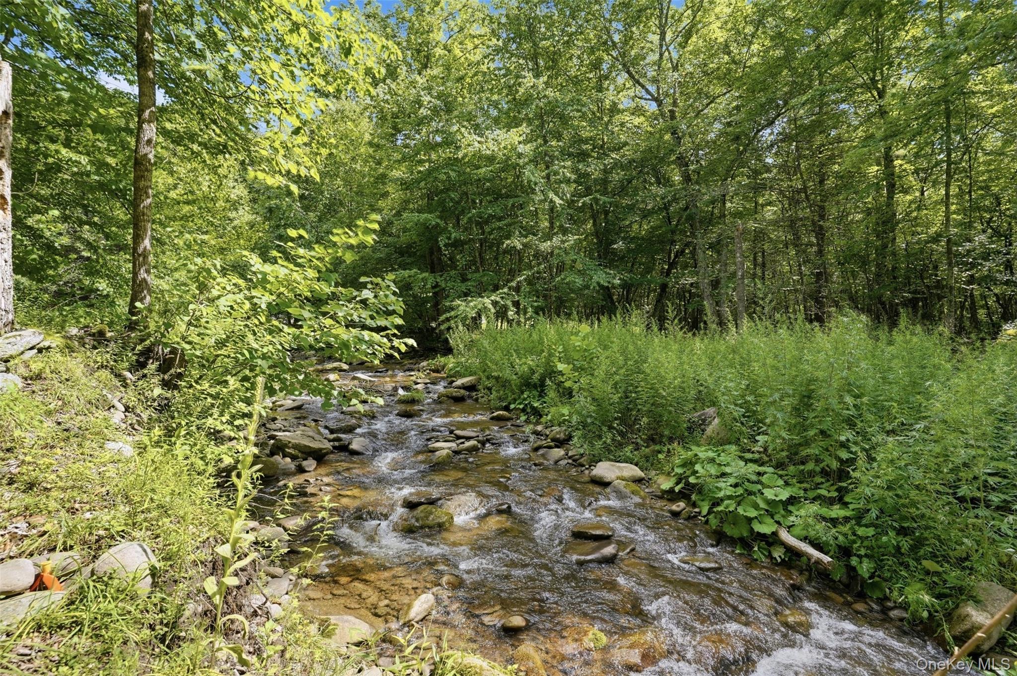 Single Family Sundown Road Ulster County, NY 12740, MLS-1029766-4