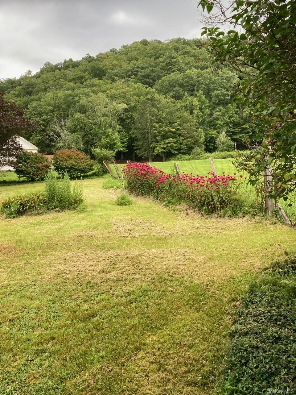 Single Family Sundown Road Ulster County, NY 12740, MLS-1029766-6