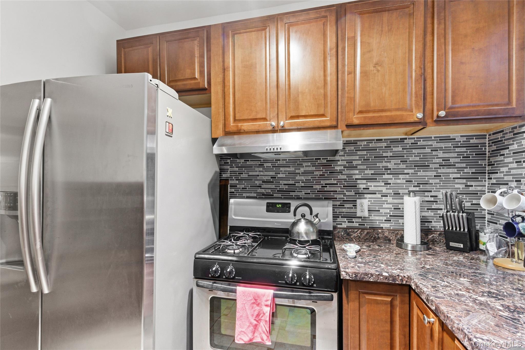 Single Family Catherine Street Westchester County, NY 10511, MLS-1029791-25