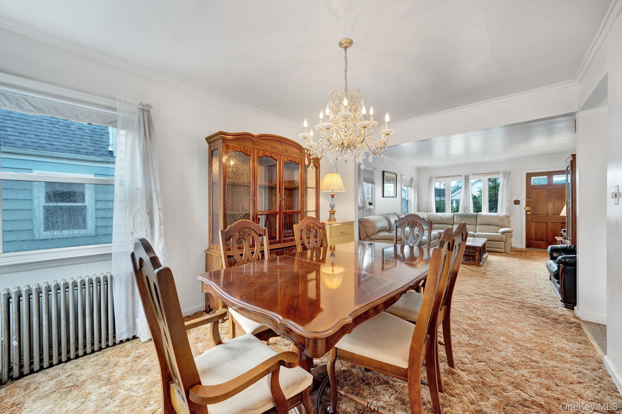 Single Family Lippold Street  Nassau County, NY 11566, MLS-1029856-11