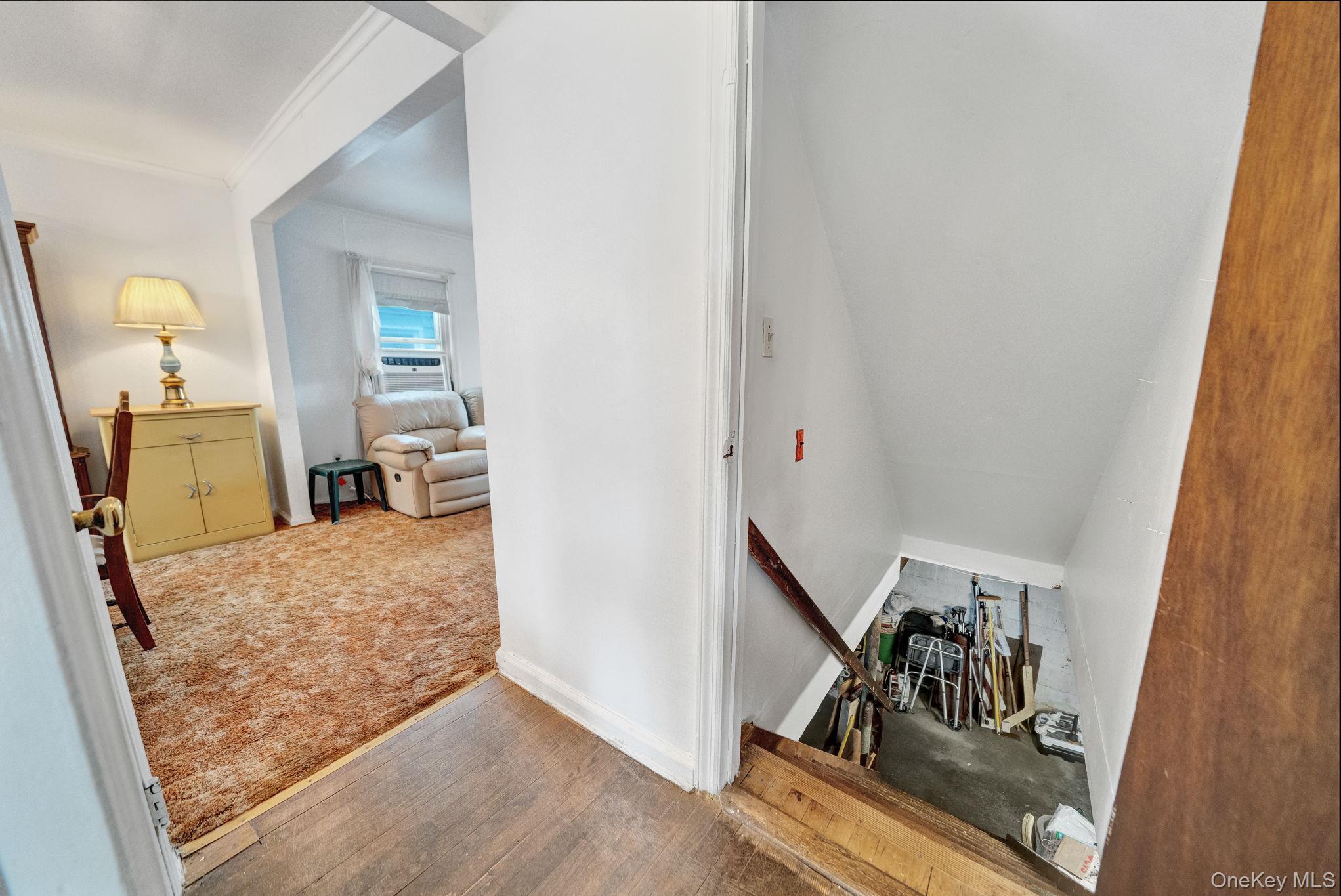 Single Family Lippold Street  Nassau County, NY 11566, MLS-1029856-25