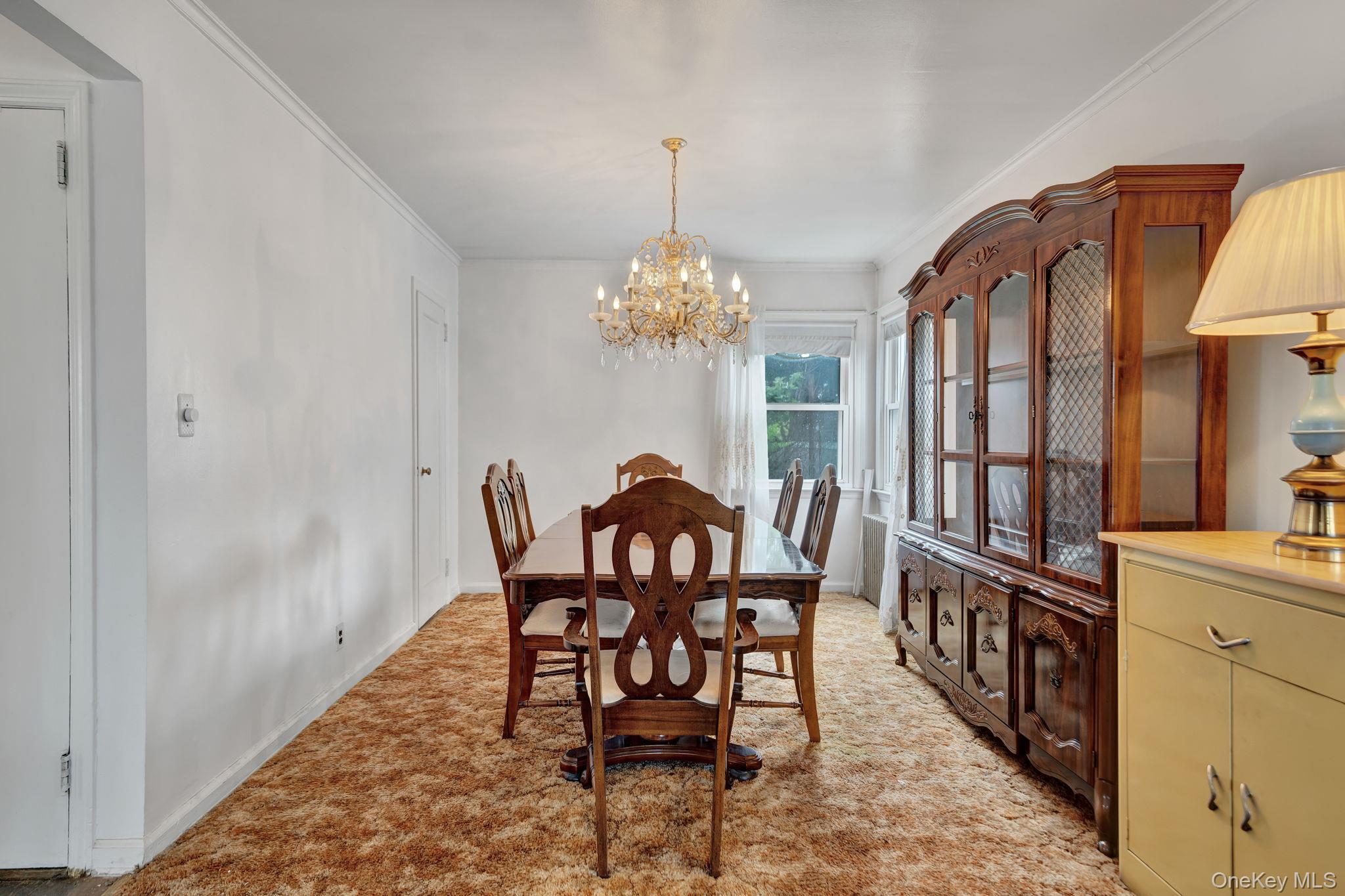 Single Family Lippold Street  Nassau County, NY 11566, MLS-1029856-8