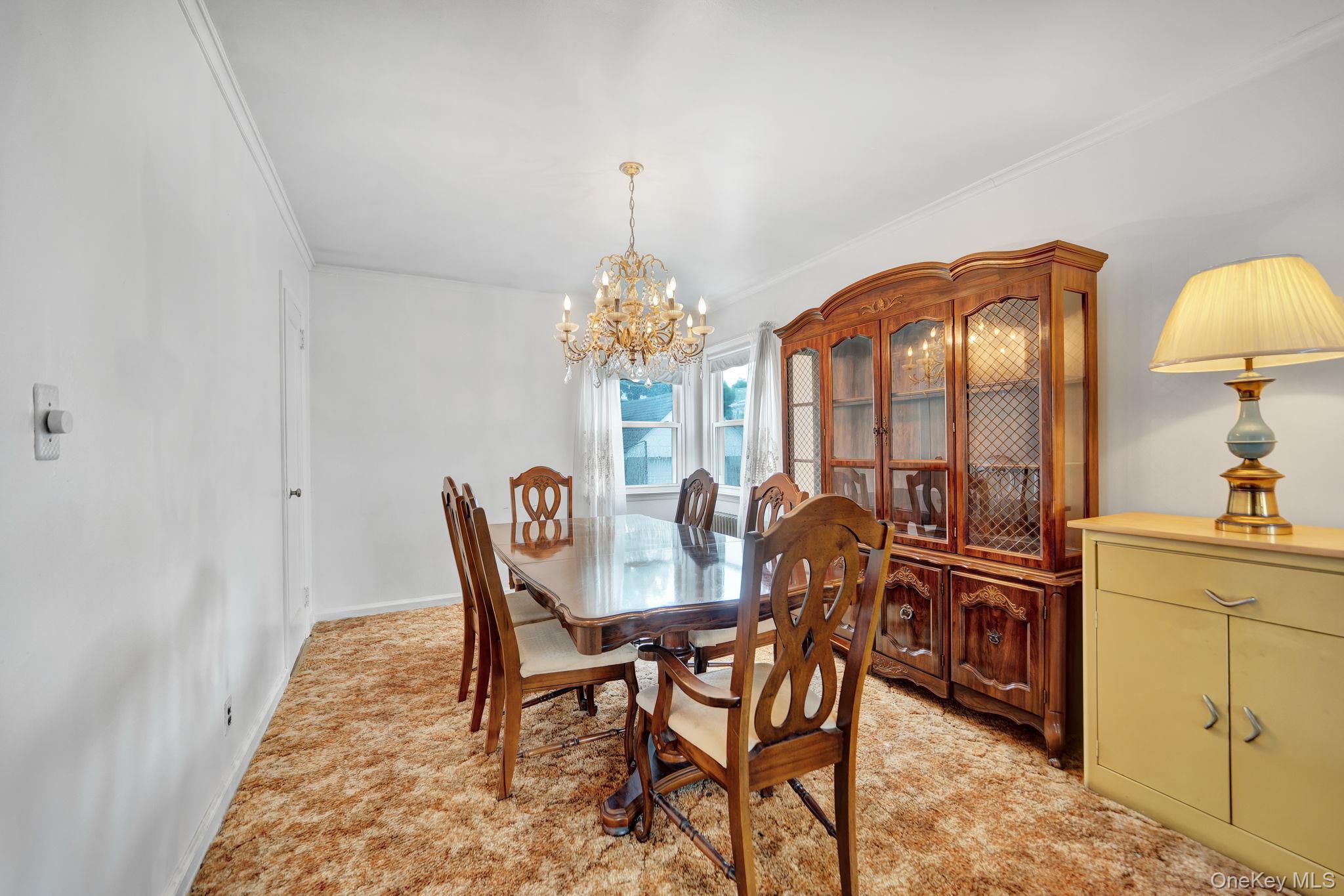 Single Family Lippold Street  Nassau County, NY 11566, MLS-1029856-9