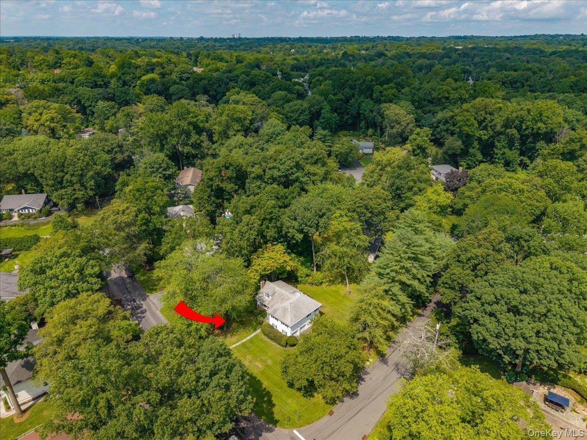 Single Family Meadowlark Road  Westchester County, NY 10573, MLS-1029861-3
