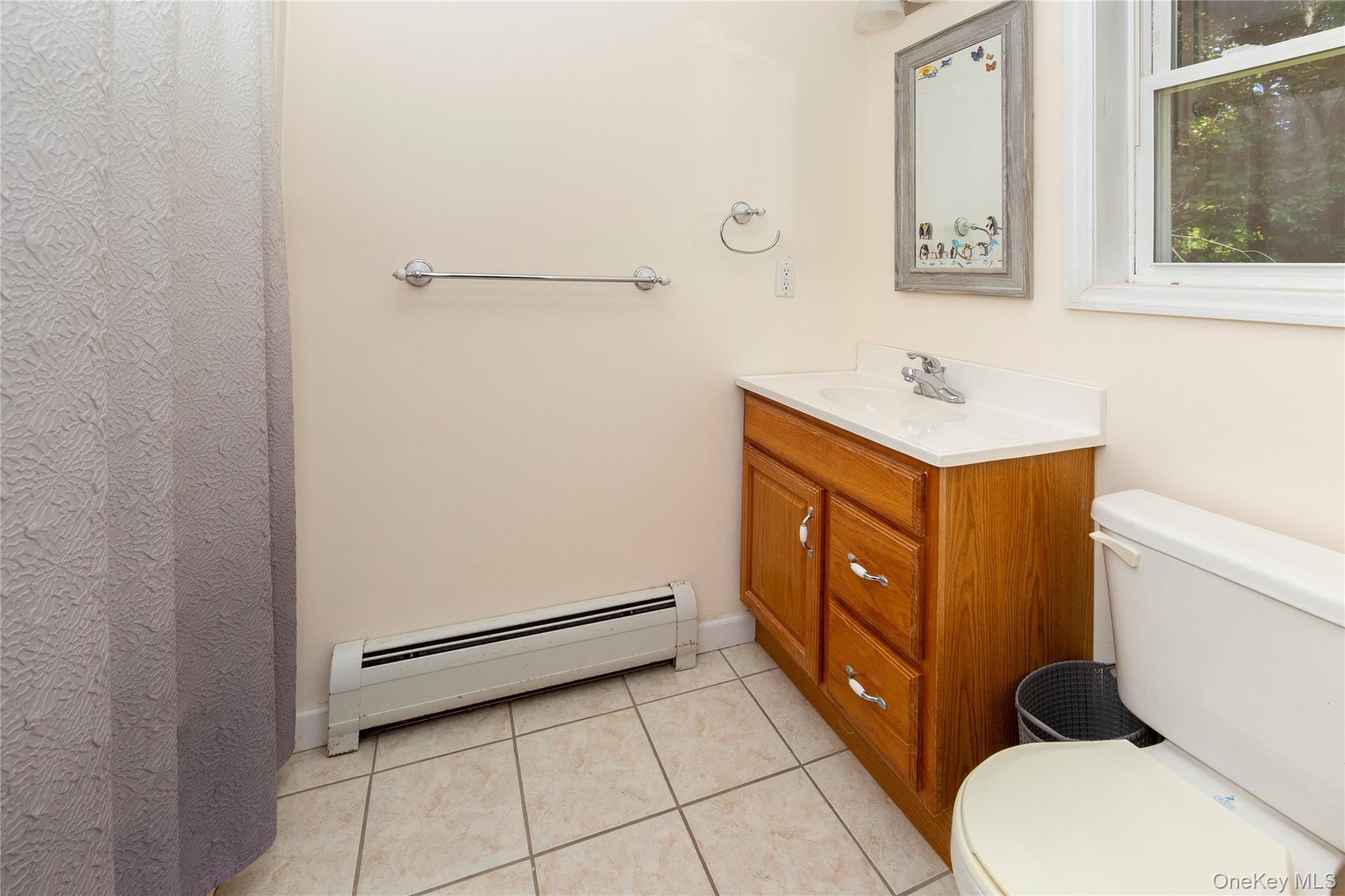 Single Family Hickory Lane Dutchess County, NY 12564, MLS-1029865-20