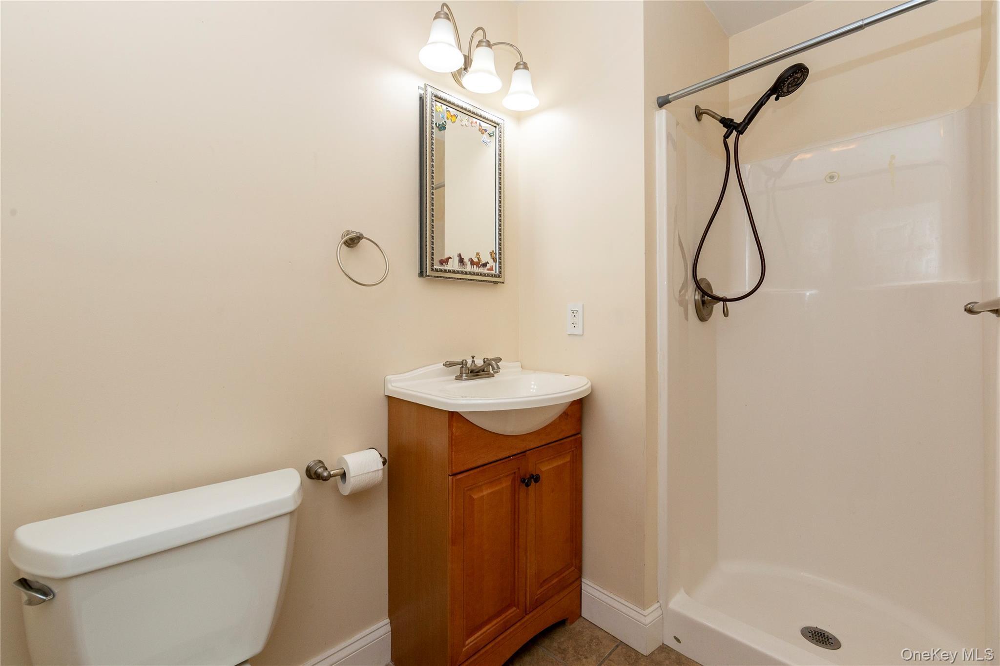 Single Family Hickory Lane Dutchess County, NY 12564, MLS-1029865-31
