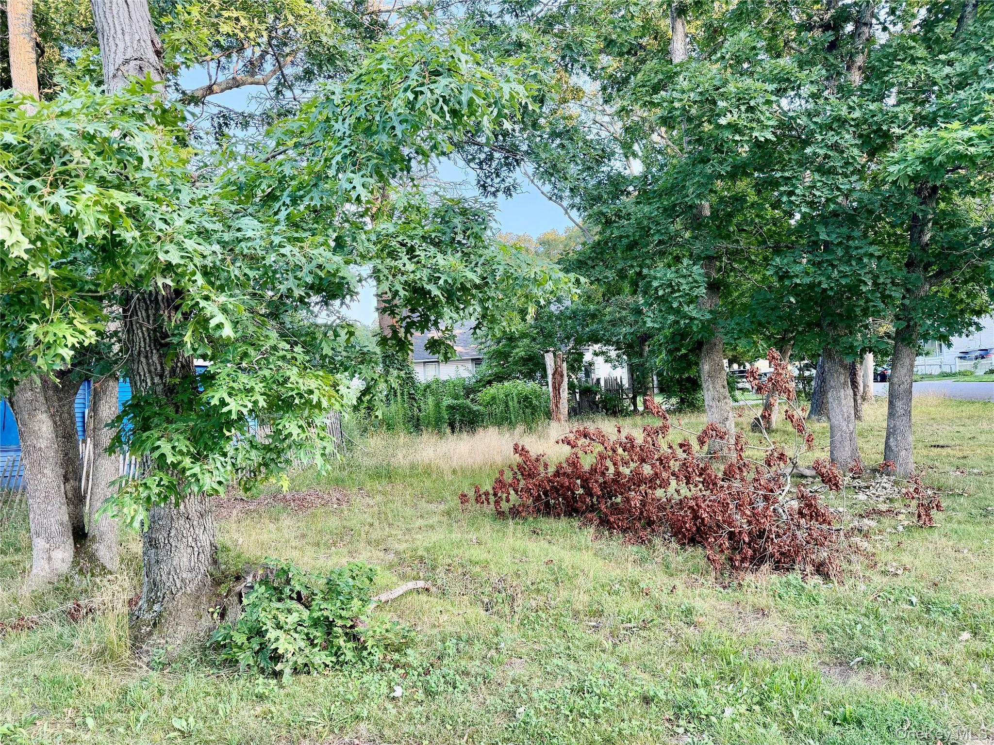 Single Family Cocoanut Street Suffolk County, NY 11722, MLS-1029878-3