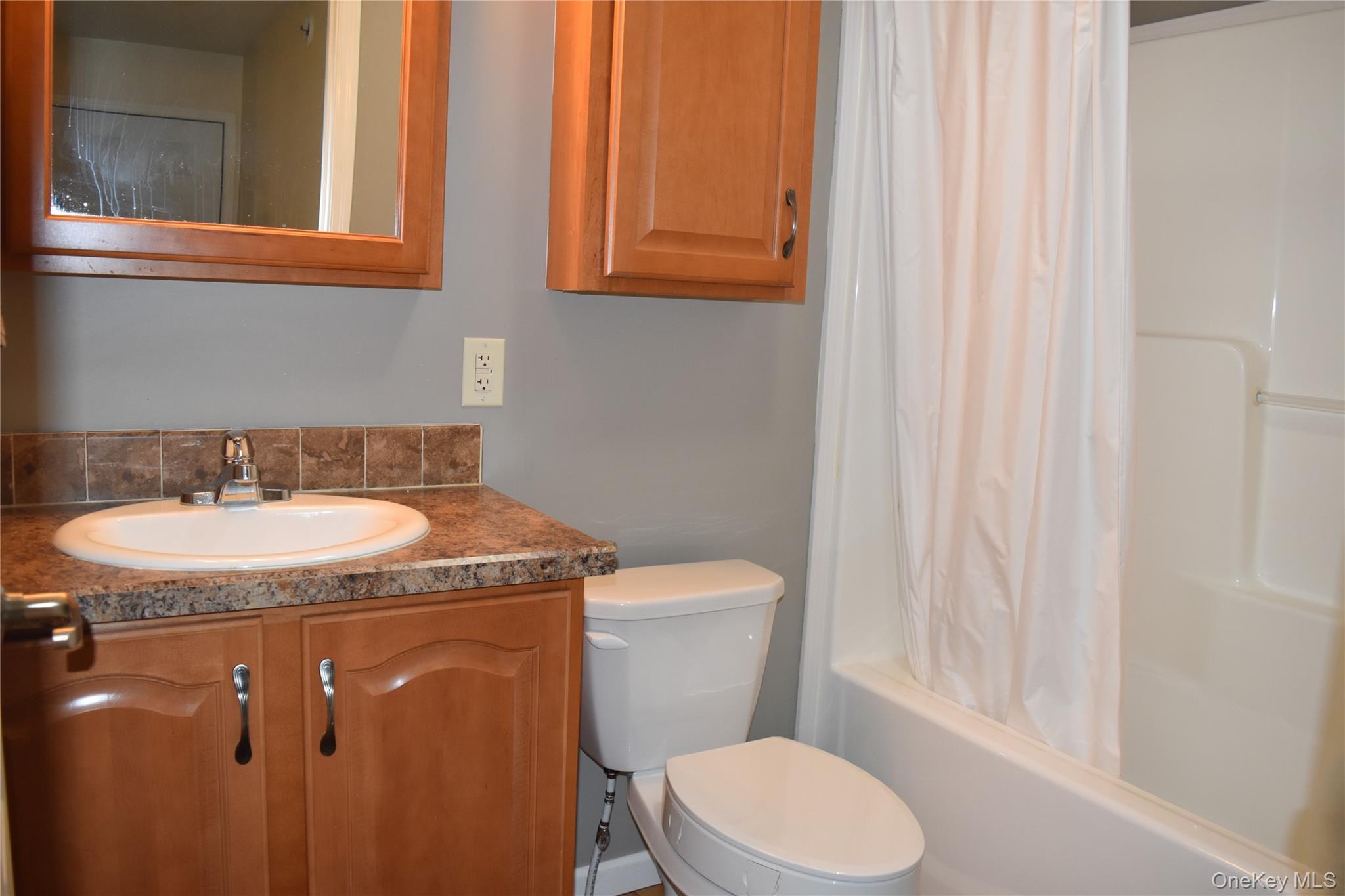 Single Family Brittany Terrace Orange County, NY 12575, MLS-1029958-18