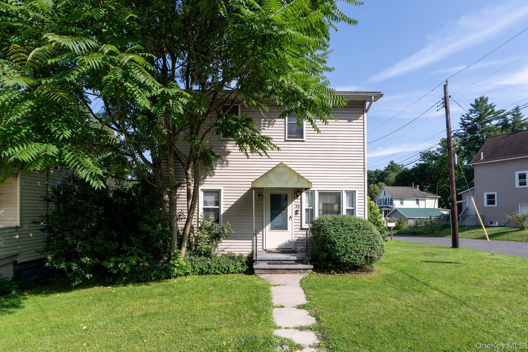 Single Family Boulevard  Ulster County, NY 12401, MLS-1030045-3