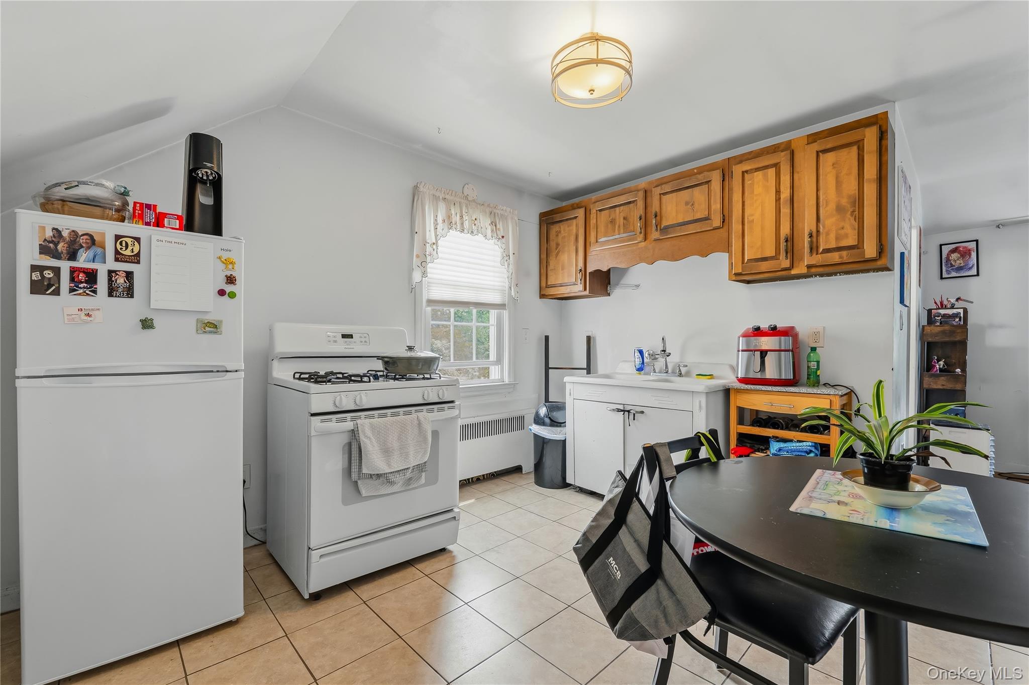 Single Family S Washington Avenue  Westchester County, NY 10530, MLS-1030098-19