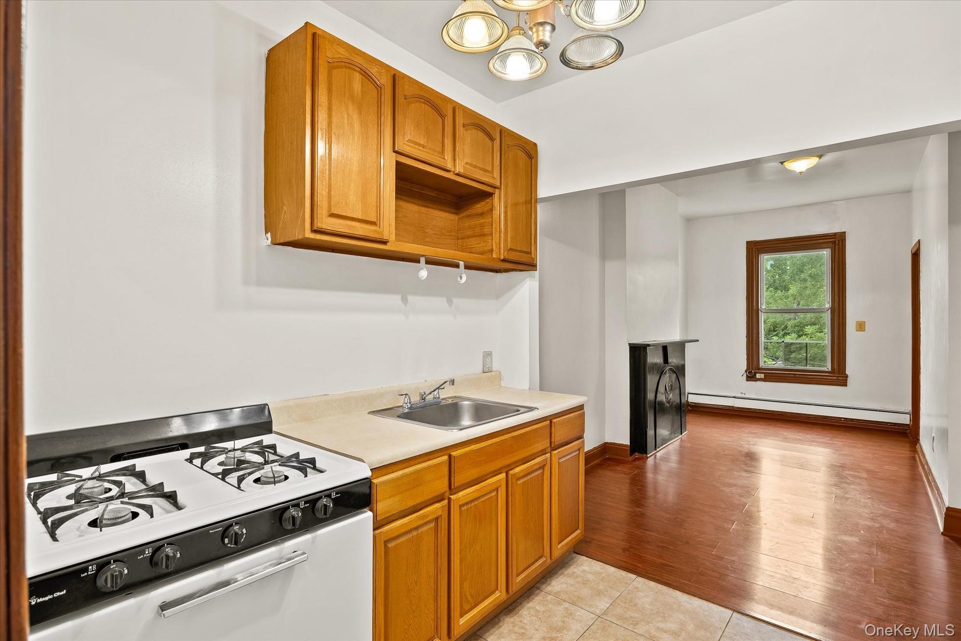 Single Family Bergen Street  Brooklyn, NY 11213, MLS-1030111-11