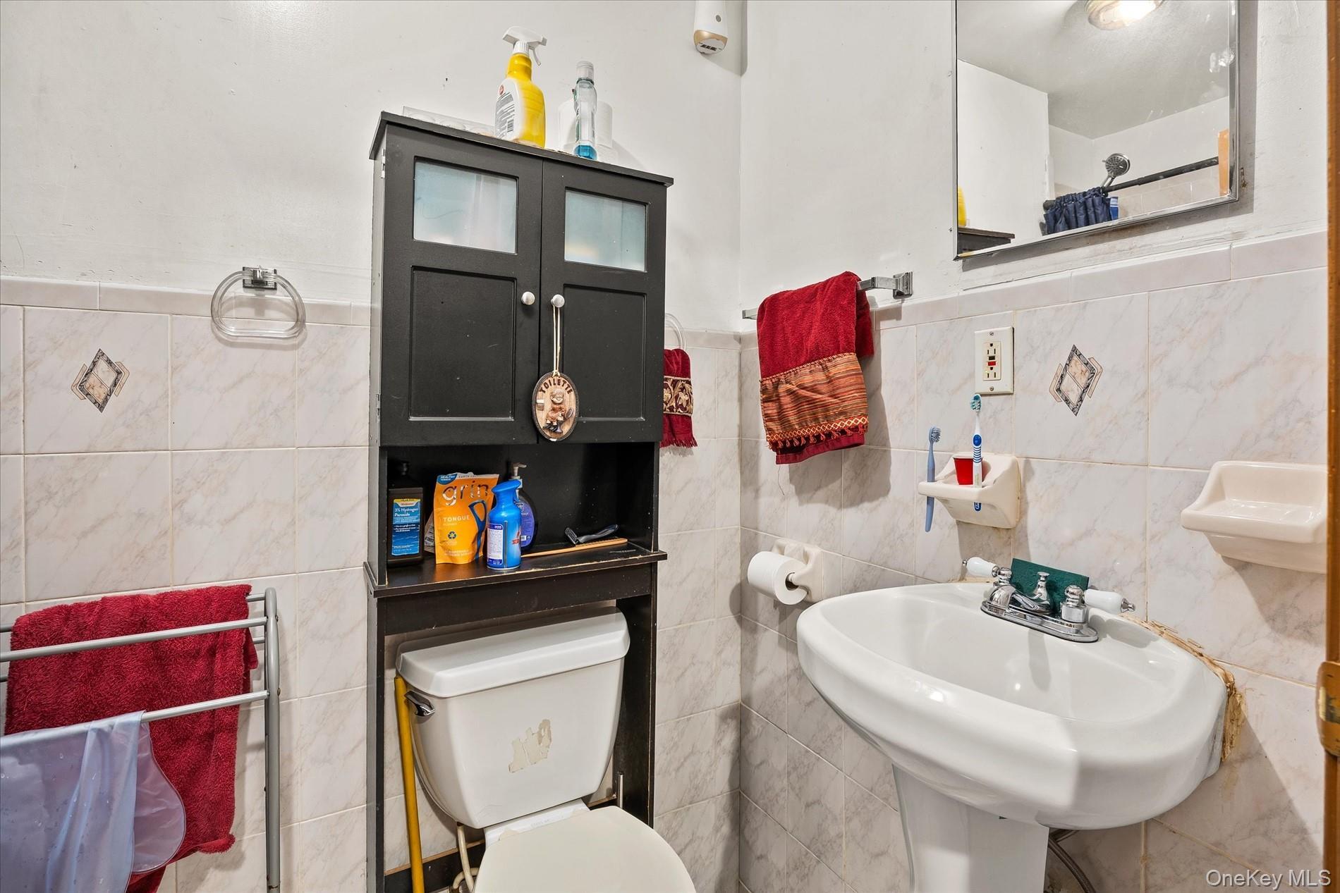 Single Family Bergen Street  Brooklyn, NY 11213, MLS-1030111-19
