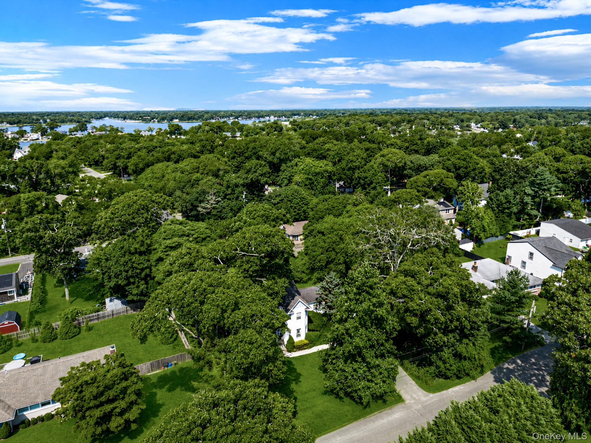 Single Family Holiday Boulevard Suffolk County, NY 11934, MLS-1030121-2