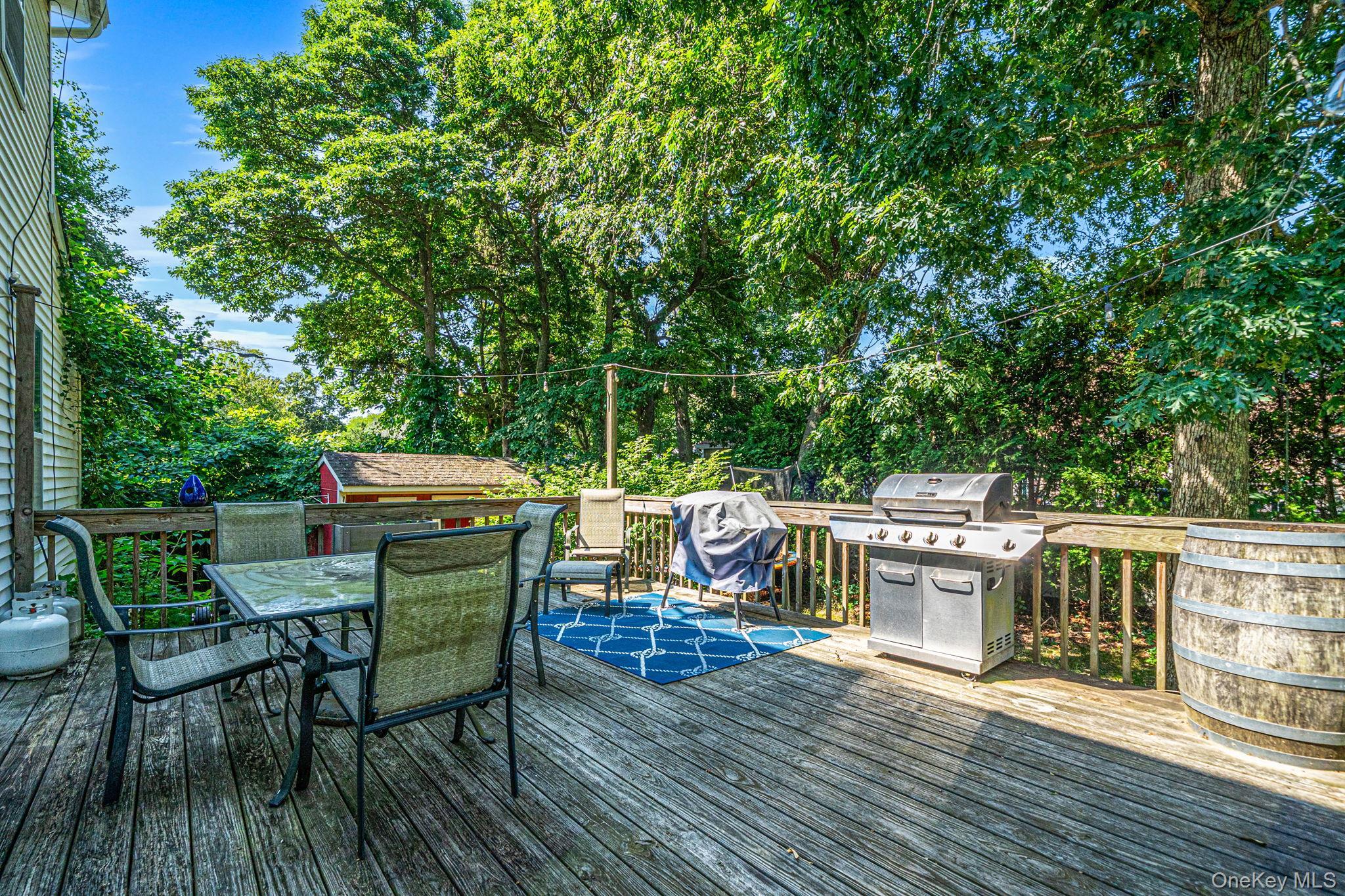 Single Family Holiday Boulevard Suffolk County, NY 11934, MLS-1030121-32