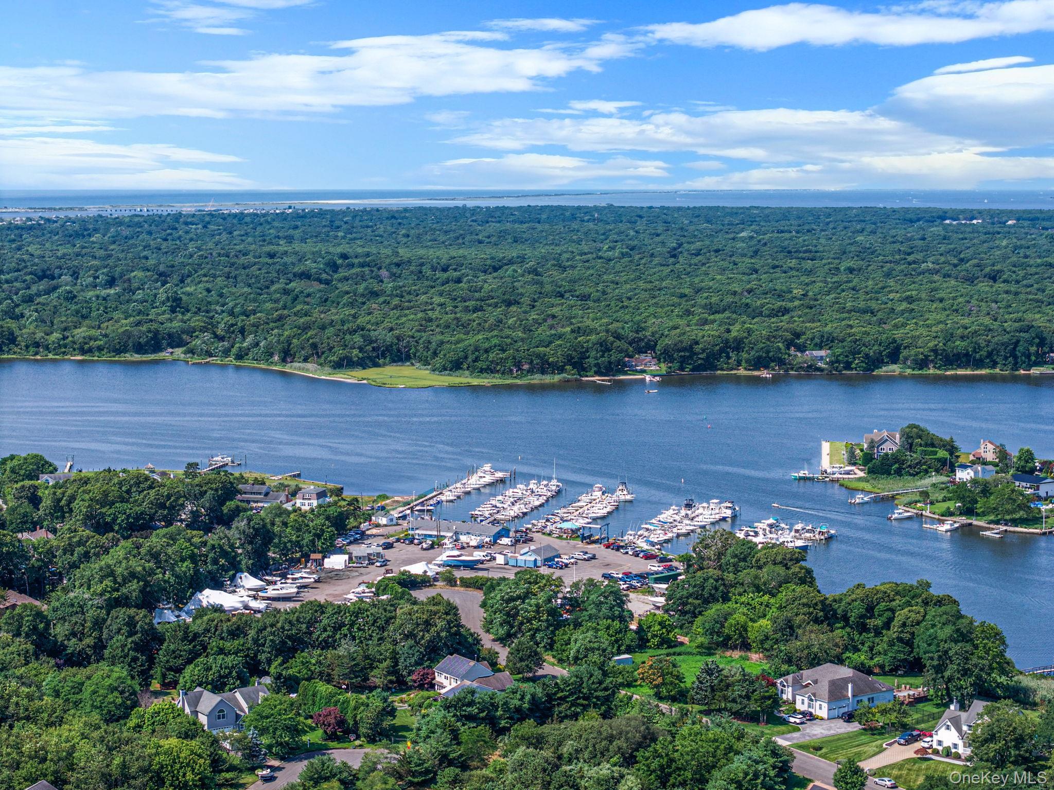 Single Family Holiday Boulevard Suffolk County, NY 11934, MLS-1030121-4